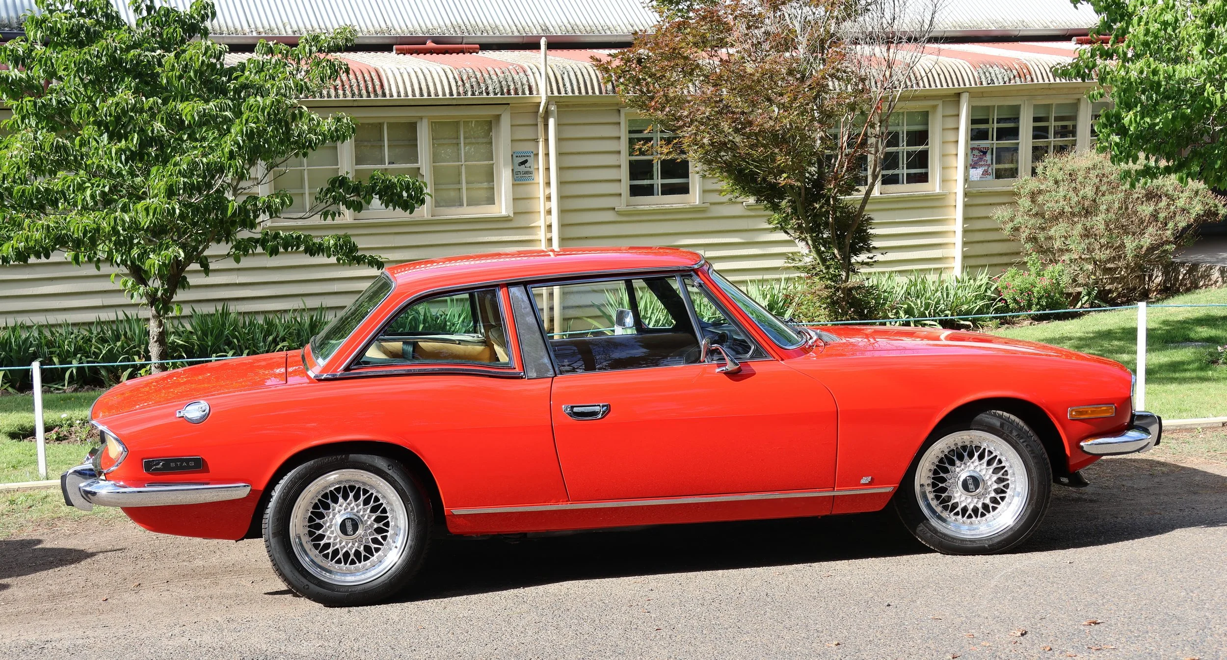 Red Triumph Stag  Hi Res Photo Shot
