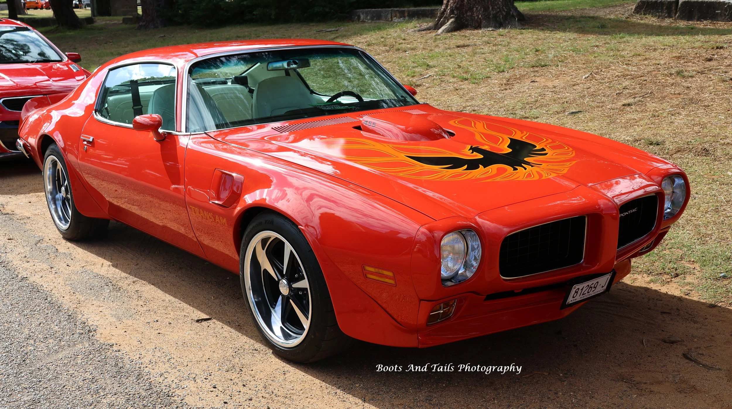 Red Pontiac Trans Am  Front  Hi Res Photo Shot