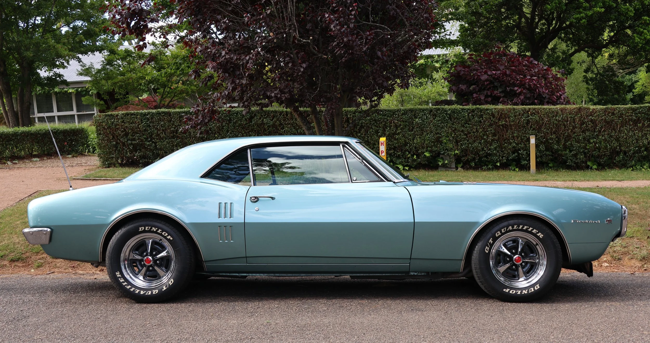 Pontiac Firebird Hi Res Photo Shot