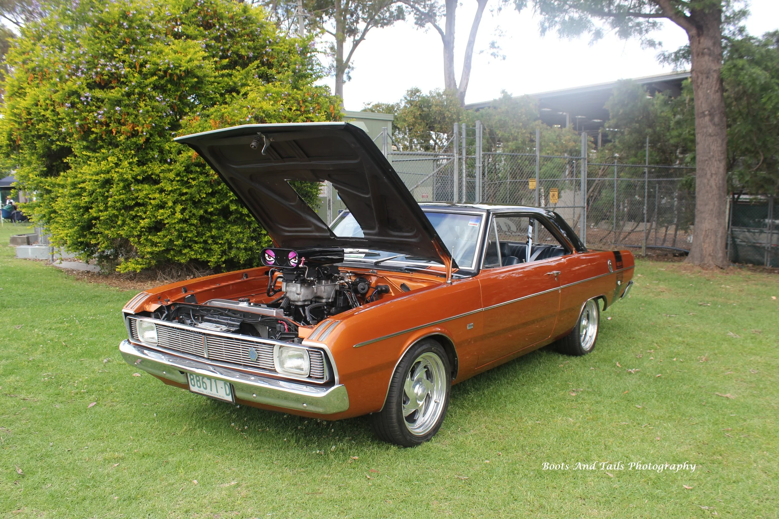 Brown VG Valiant   Hi Res Shot