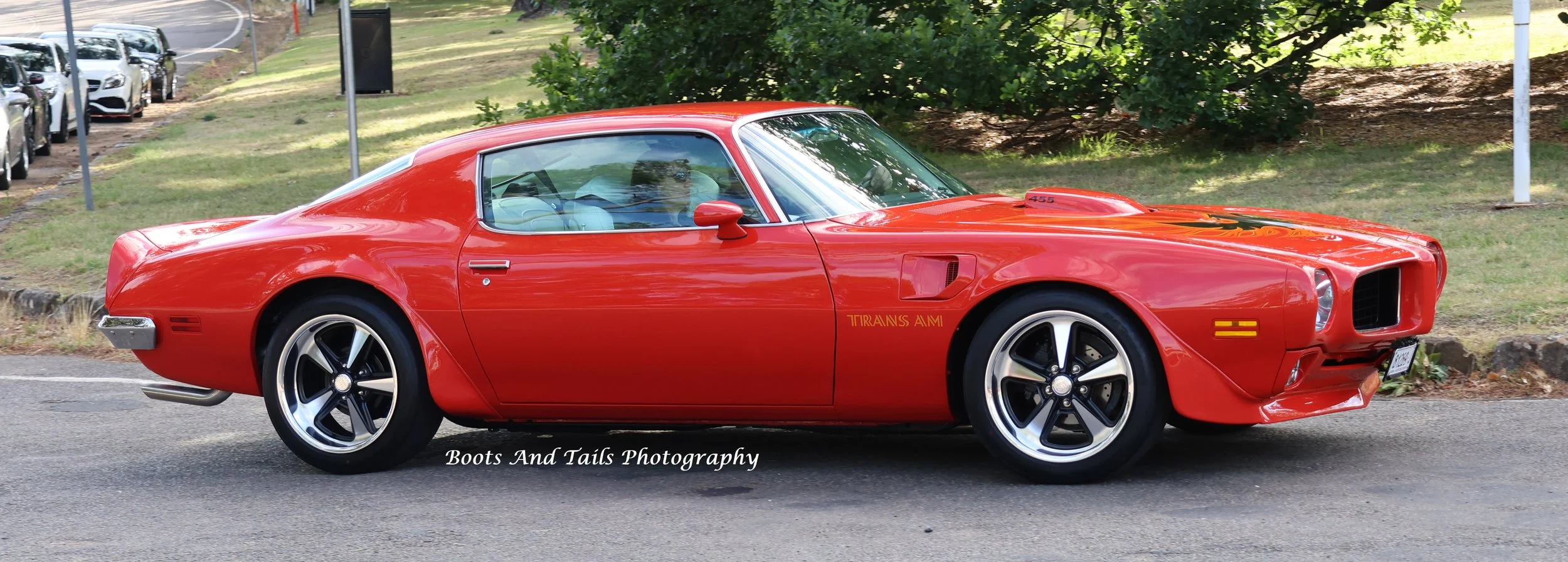 Red Pontiac Trans Am  2  Hi Res Photo Shot