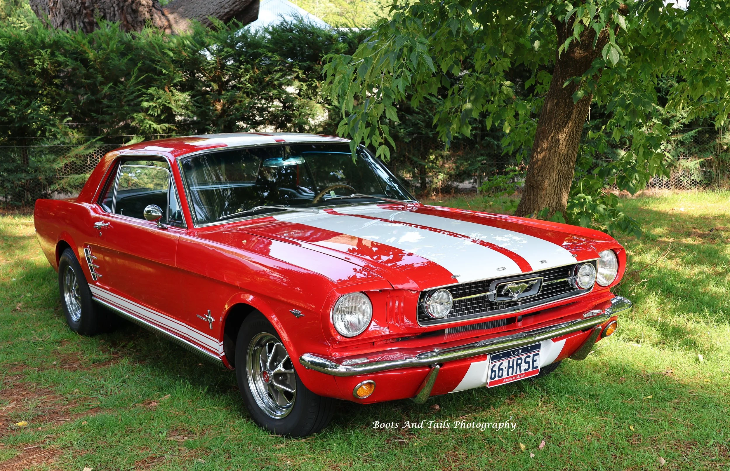 Red 1966 Mustang   Hi Res Photo Shot