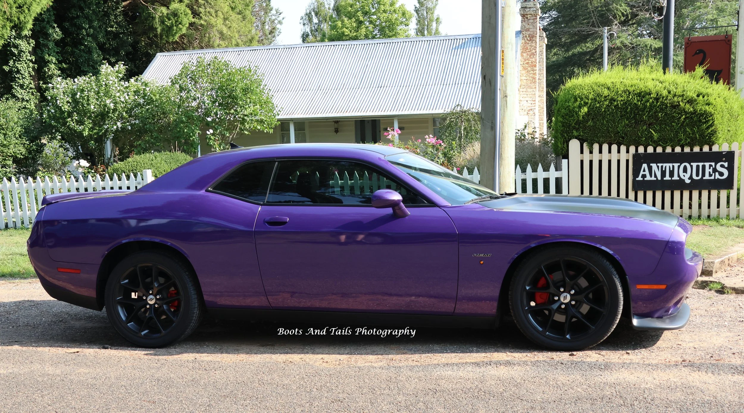 Purple Challenger SRT side  Hi Res Photo Shot