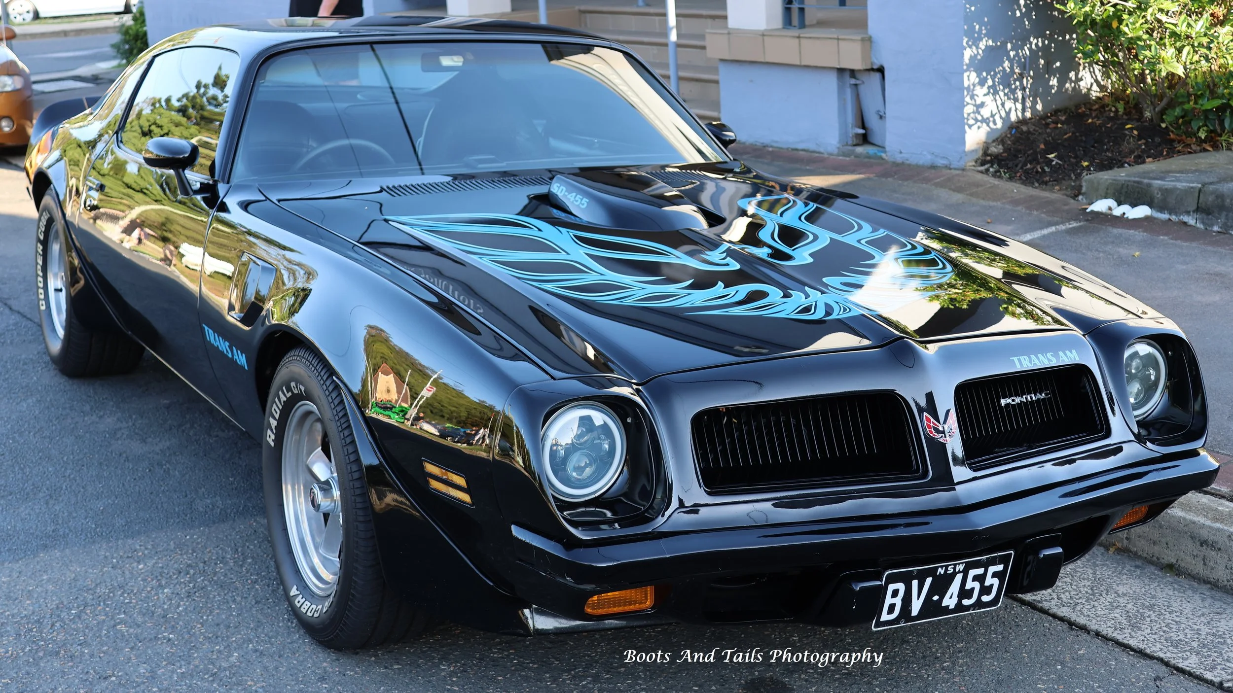 Black 74 Pontiac Trans Am  Hi Res Photo Shot