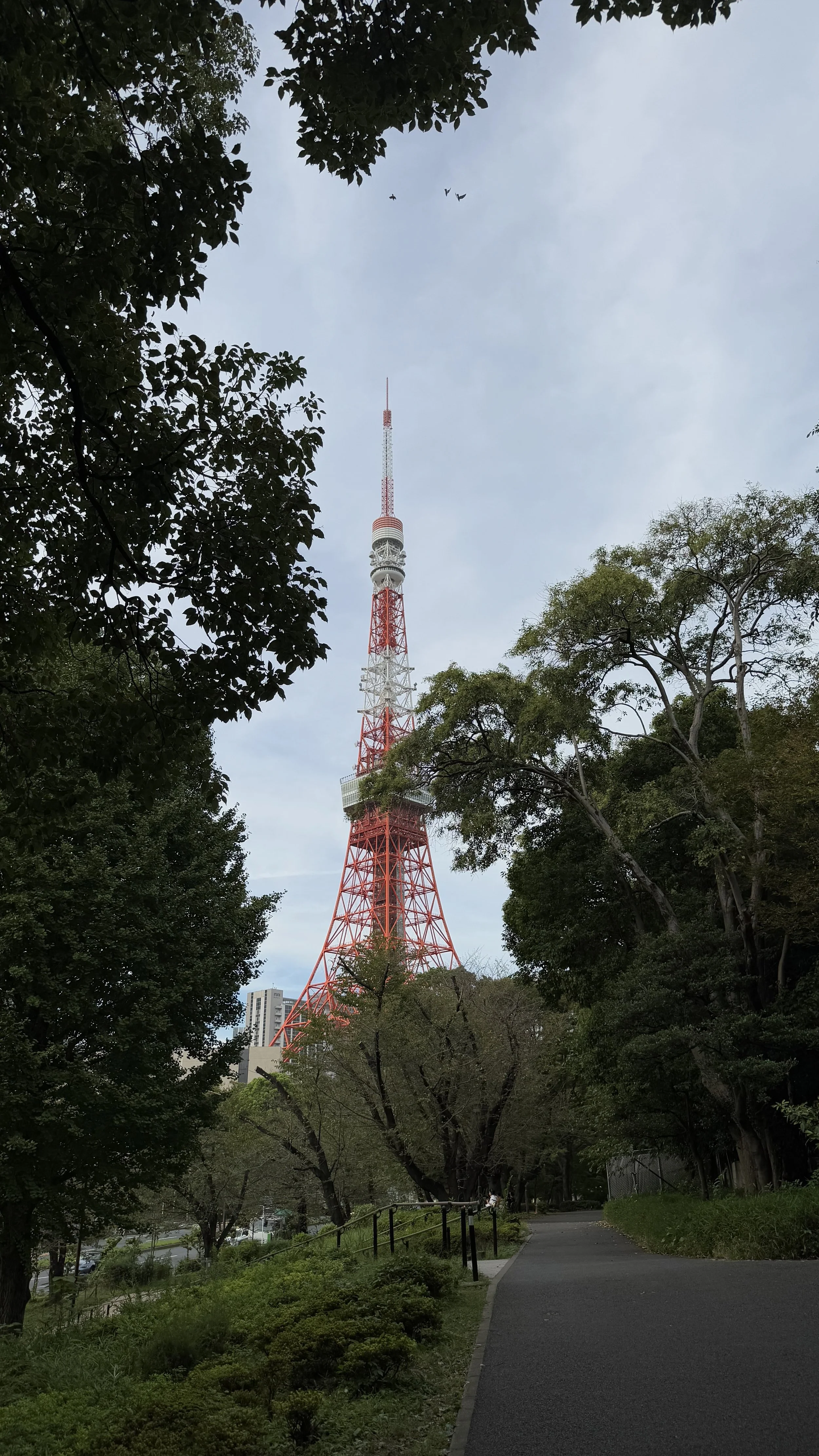 Apps to Download Before Your Trip to Japan