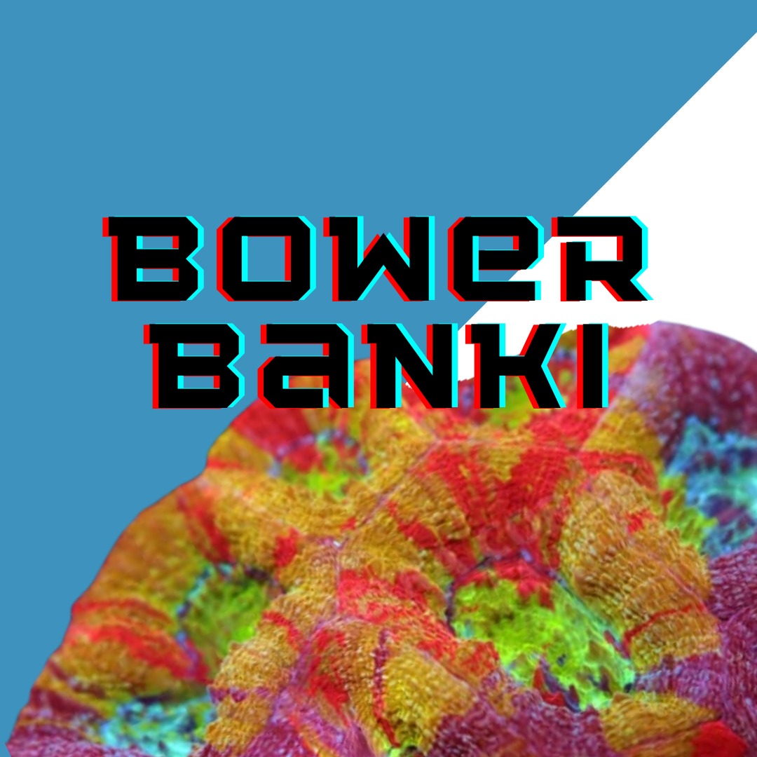 Image Block Website (6).png