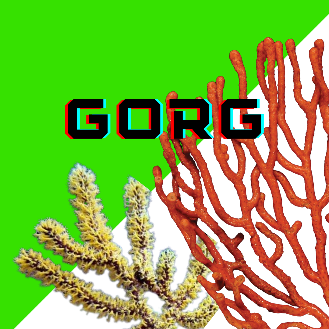 Image Block Website (11).png