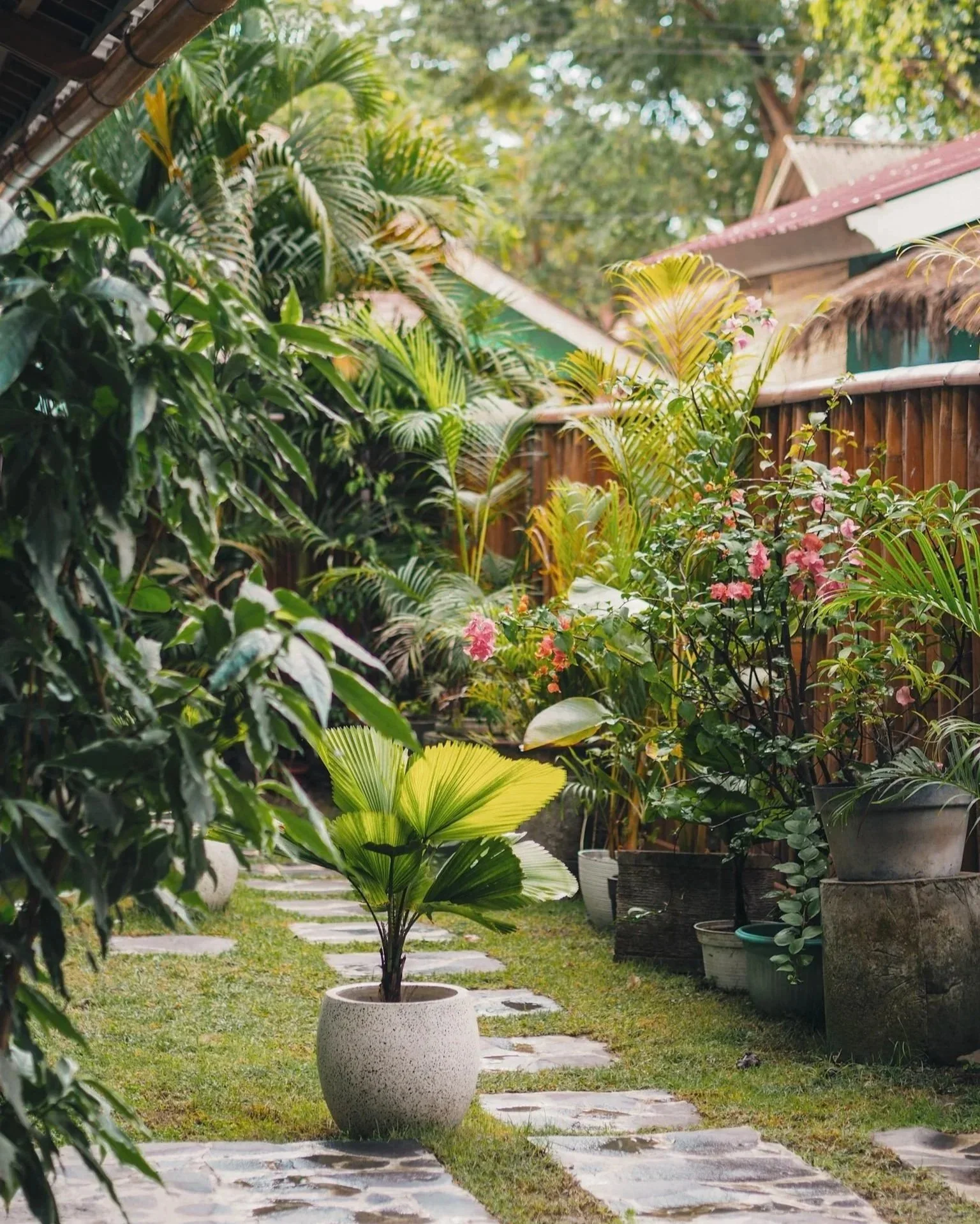 A lush garden with various green plants and pink flowers, a stone pathway, and potted plants next to a wooden fence.