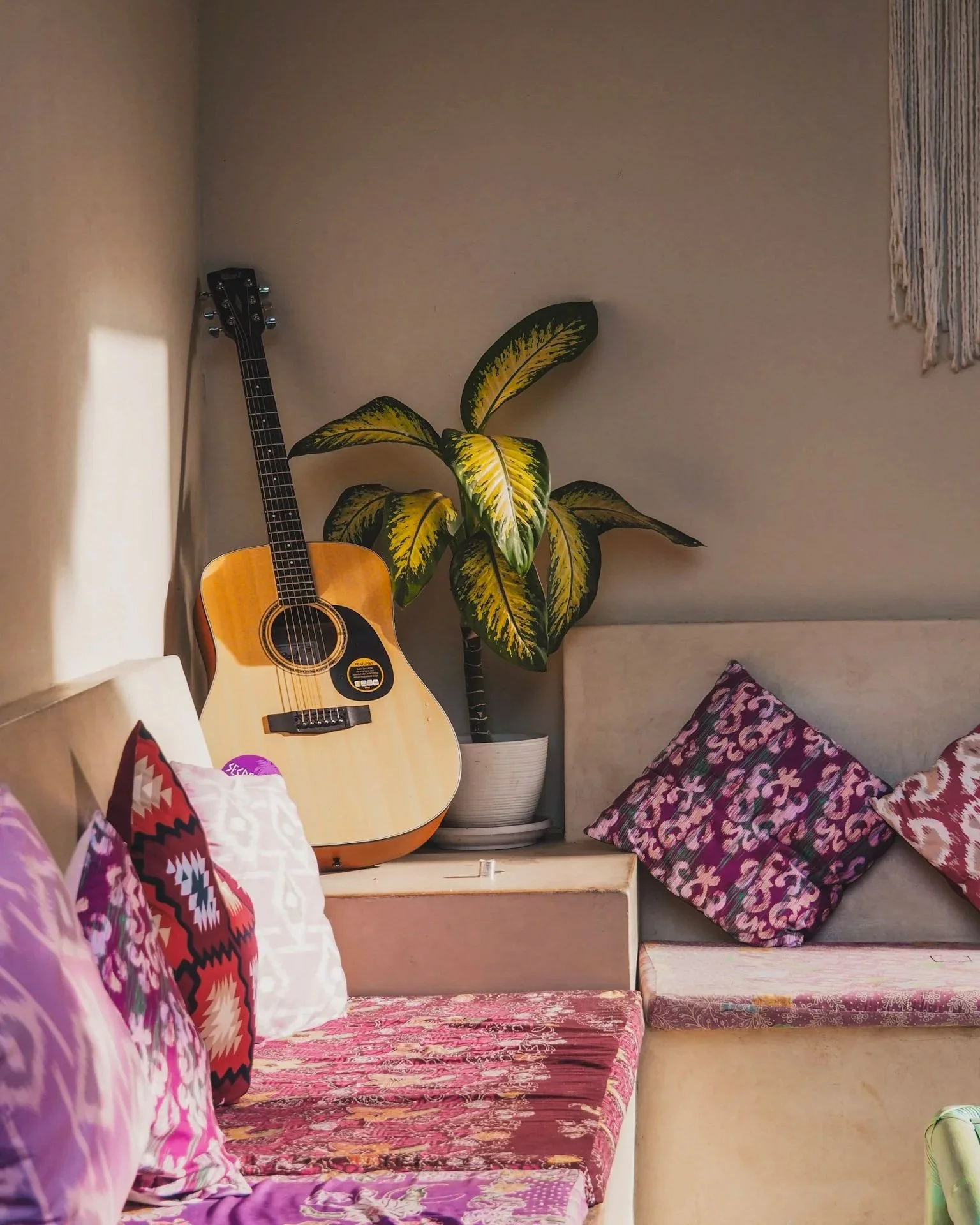 A cozy corner with a guitar resting against the wall, a potted plant with green and yellow leaves, and a sofa with patterned cushions and pink floral upholstery.
