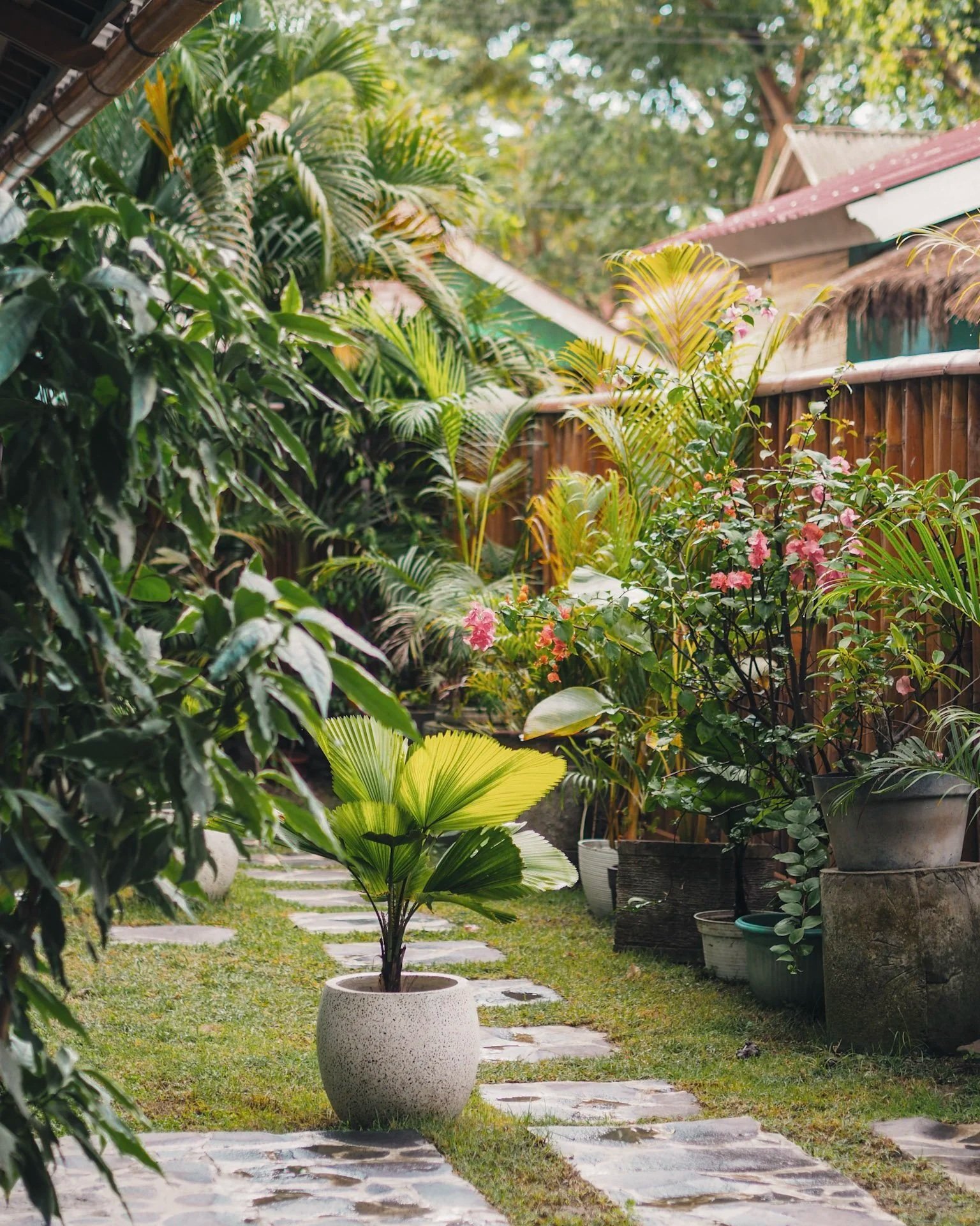 A lush backyard garden with a stone pathway, potted plants, and various green trees and bushes.