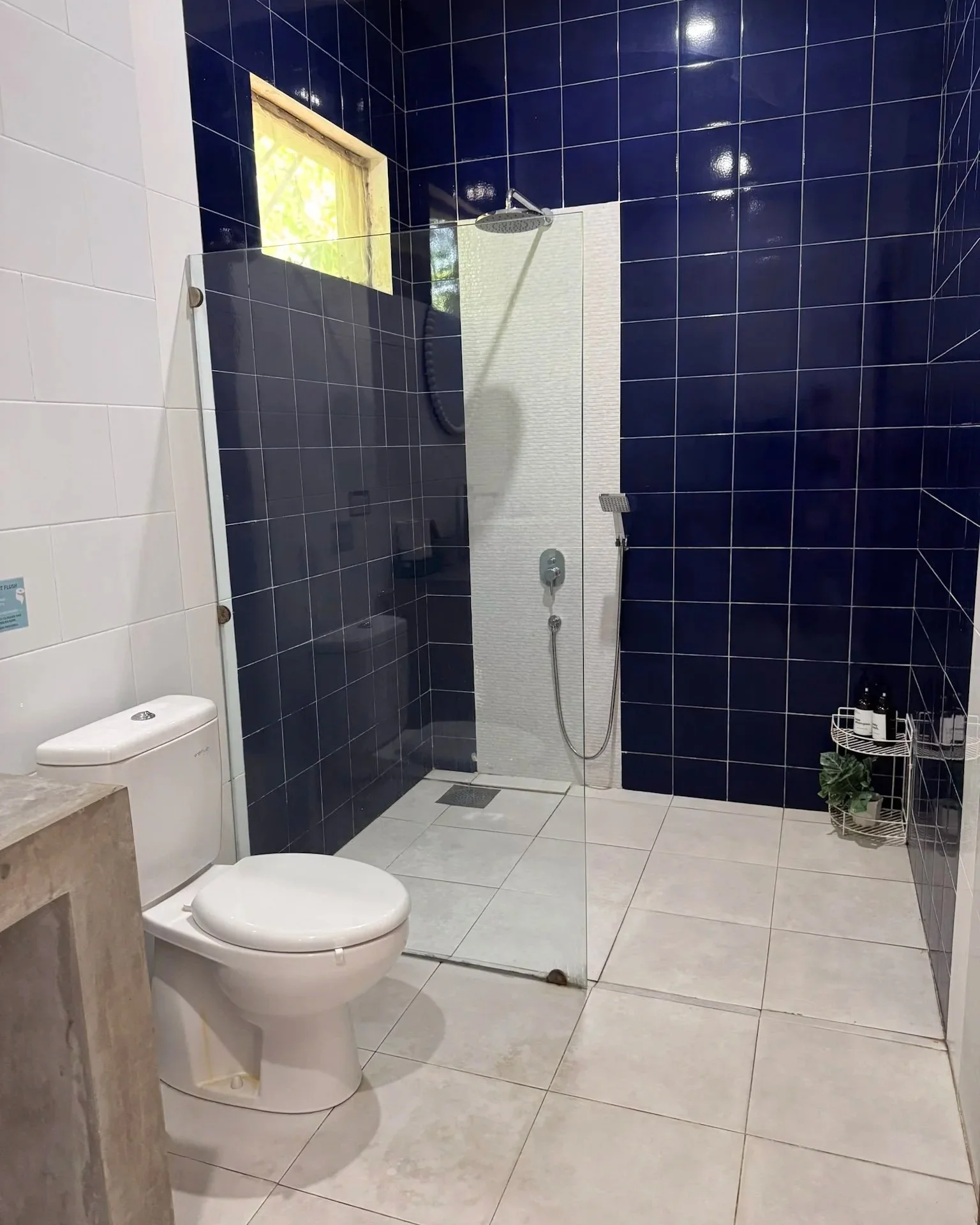 Modern bathroom with a glass-enclosed shower, white toilet, beige countertop, and blue tiled walls, with a window and shelves holding toiletries and a potted plant.