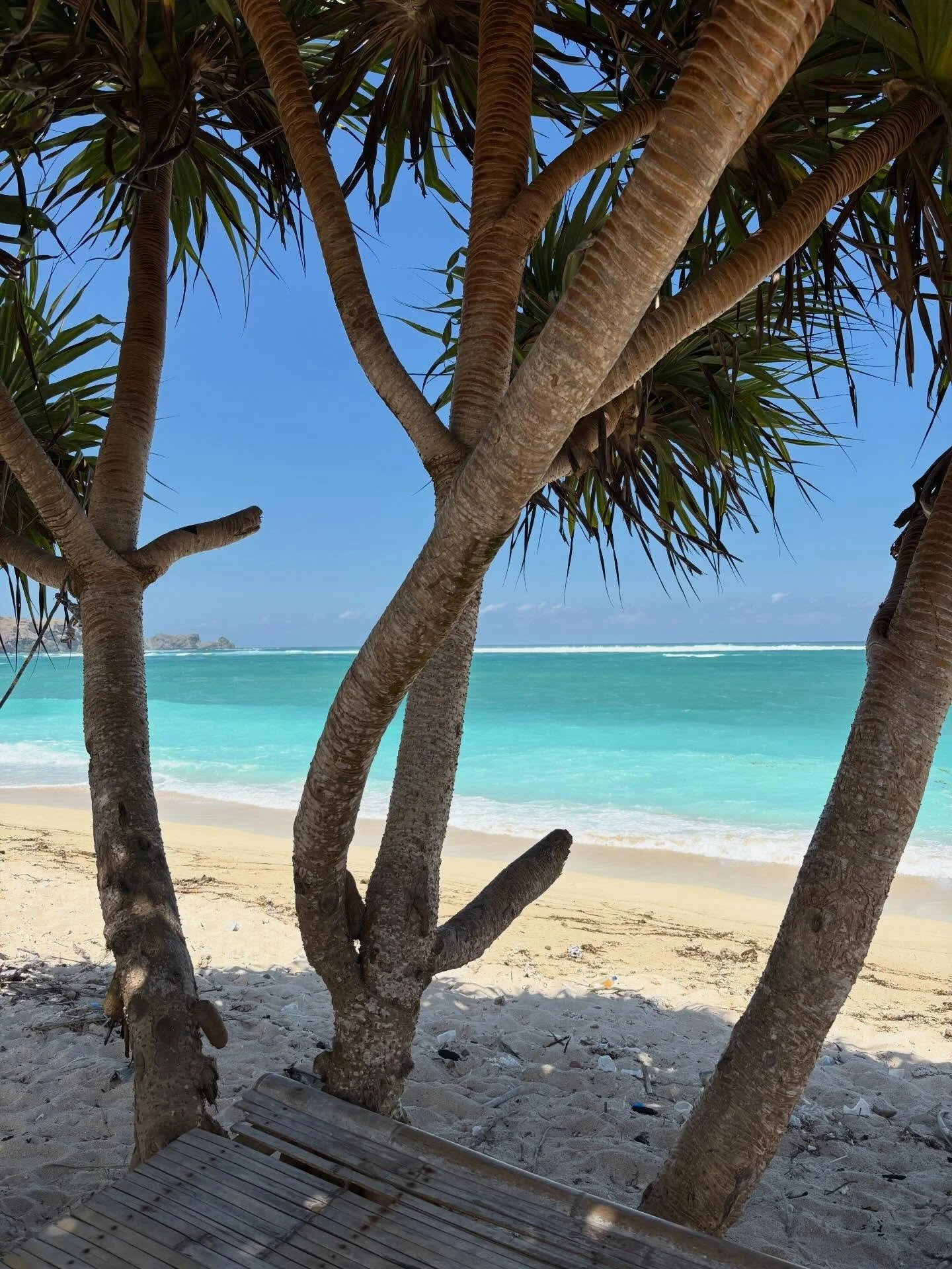 In Lombok, paradise isn&rsquo;t hard to find&hellip; hidden turquoise waters and white sand beaches wait around every corner 🌴🌊☀️

#kutalombok #secretspotlombok #homestaykutalombok # backpackerlombok #lomboksurf