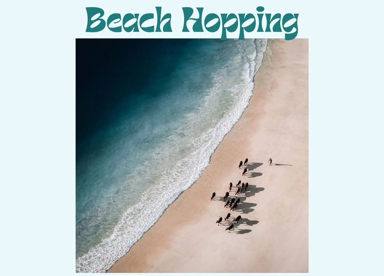 Aerial view of a sandy beach with waves crashing onto the shore. Several black camels walk along the beach, casting long shadows.