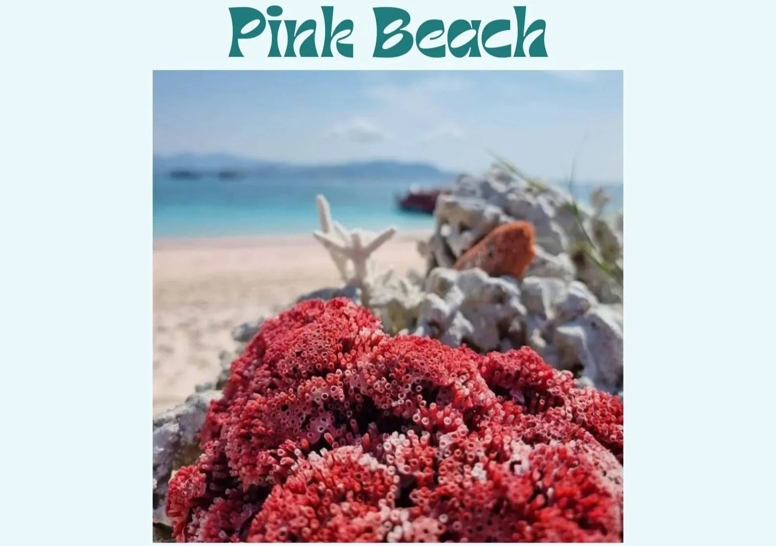 Close-up of red coral on a beach with white rocks, turquoise ocean, and a boat in the background, with text "Beach Escapes" at the top.