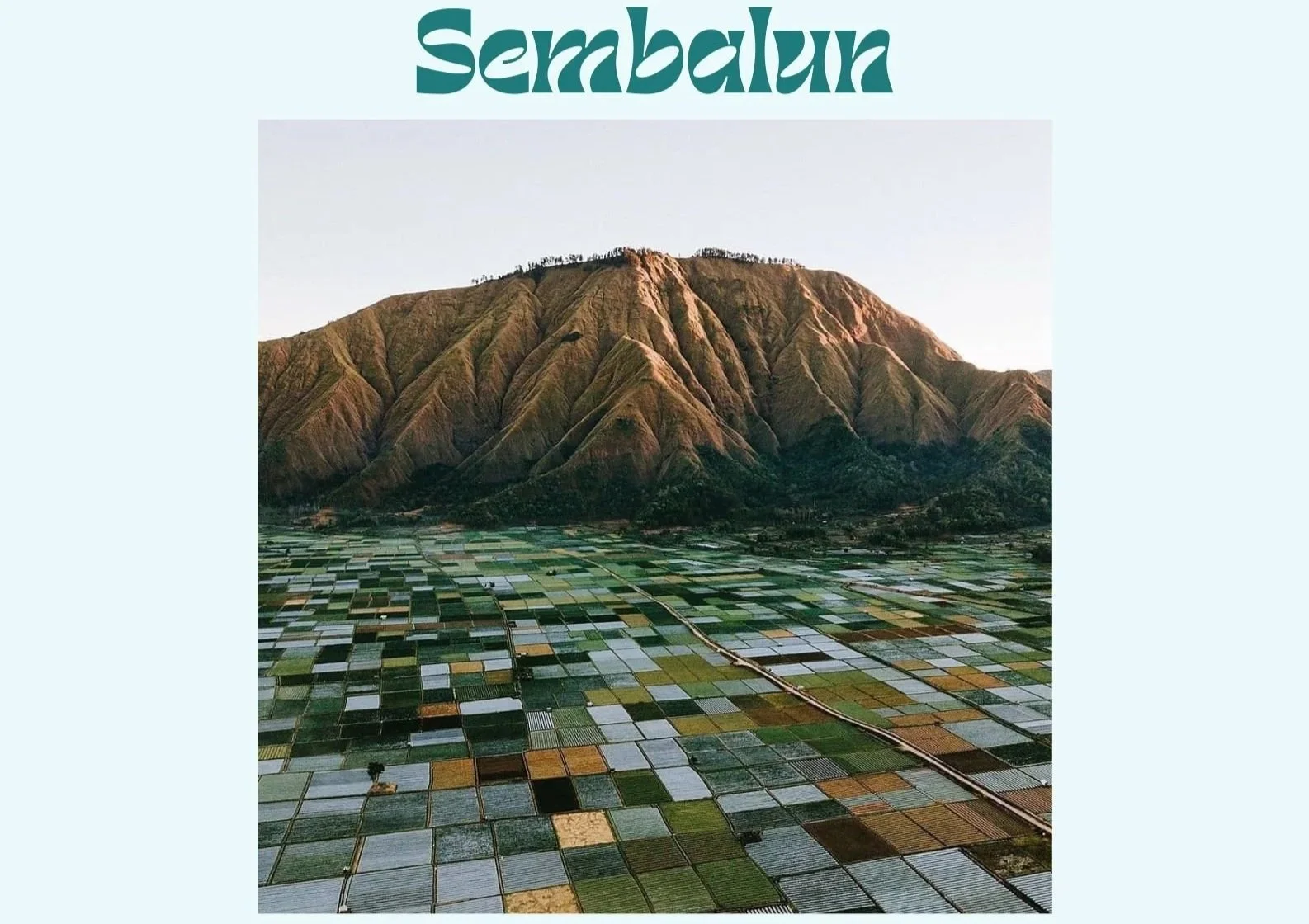 A landscape photograph featuring a large mountain with ridges and dry terrain, set against a clear sky. In the foreground, there are many agricultural fields in various shades of green and brown, arranged in a grid pattern, with a single road running through them. The phrase "Local Life & Culture" is written at the top in large, stylized green text.