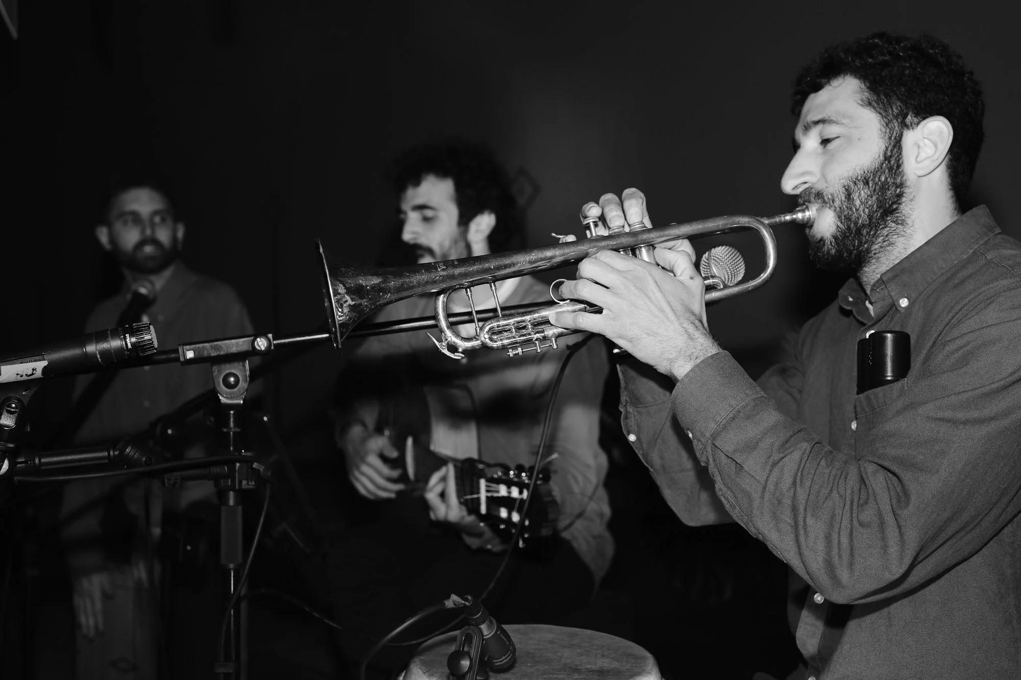 Concierto en el Frontón Sineu.