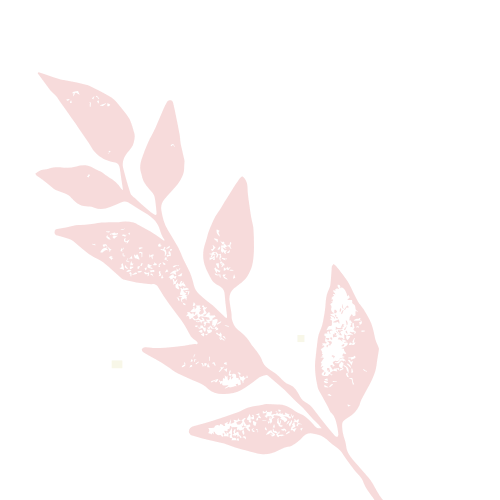 pink leaves on a white background, calming