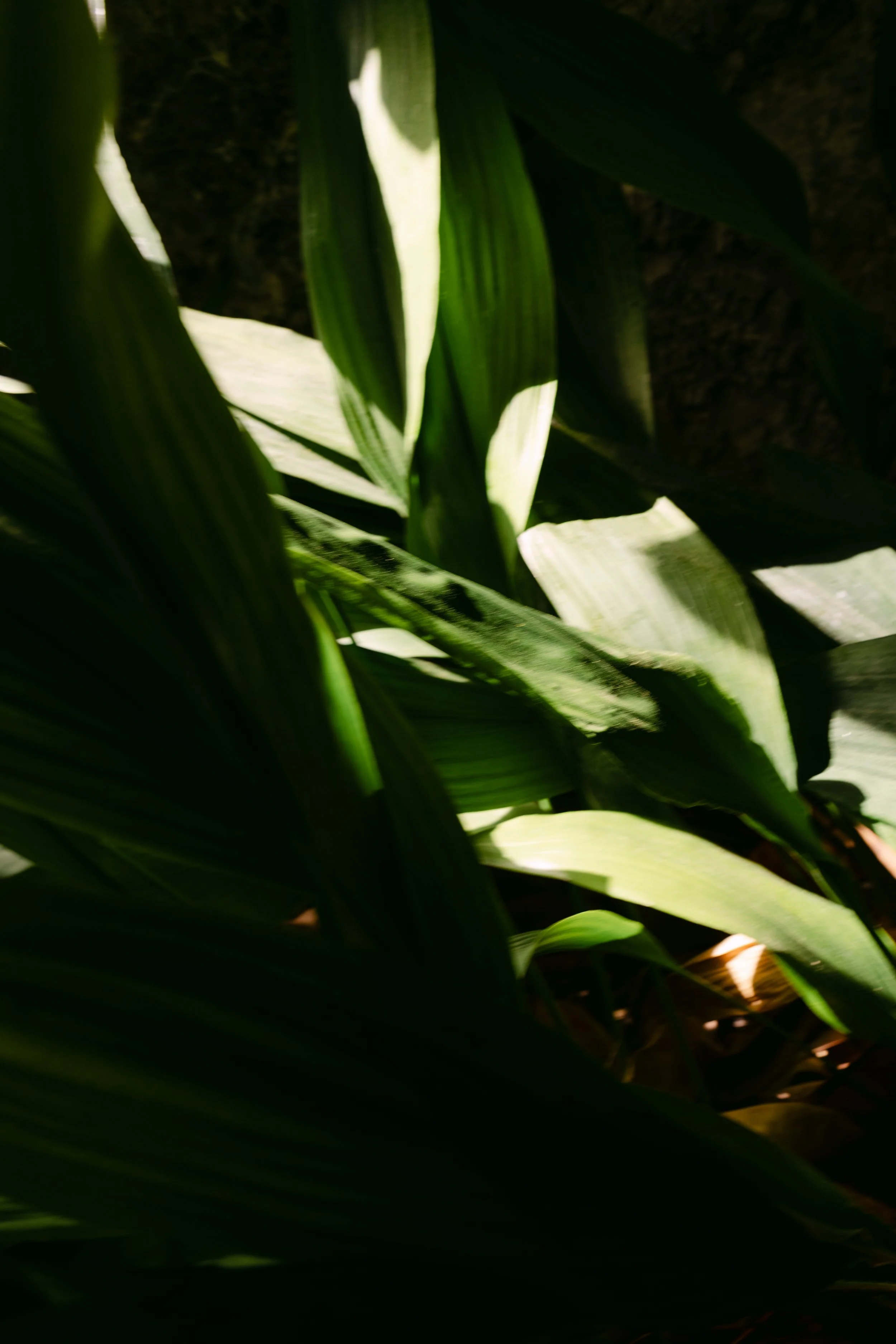 GIP09490.jpg