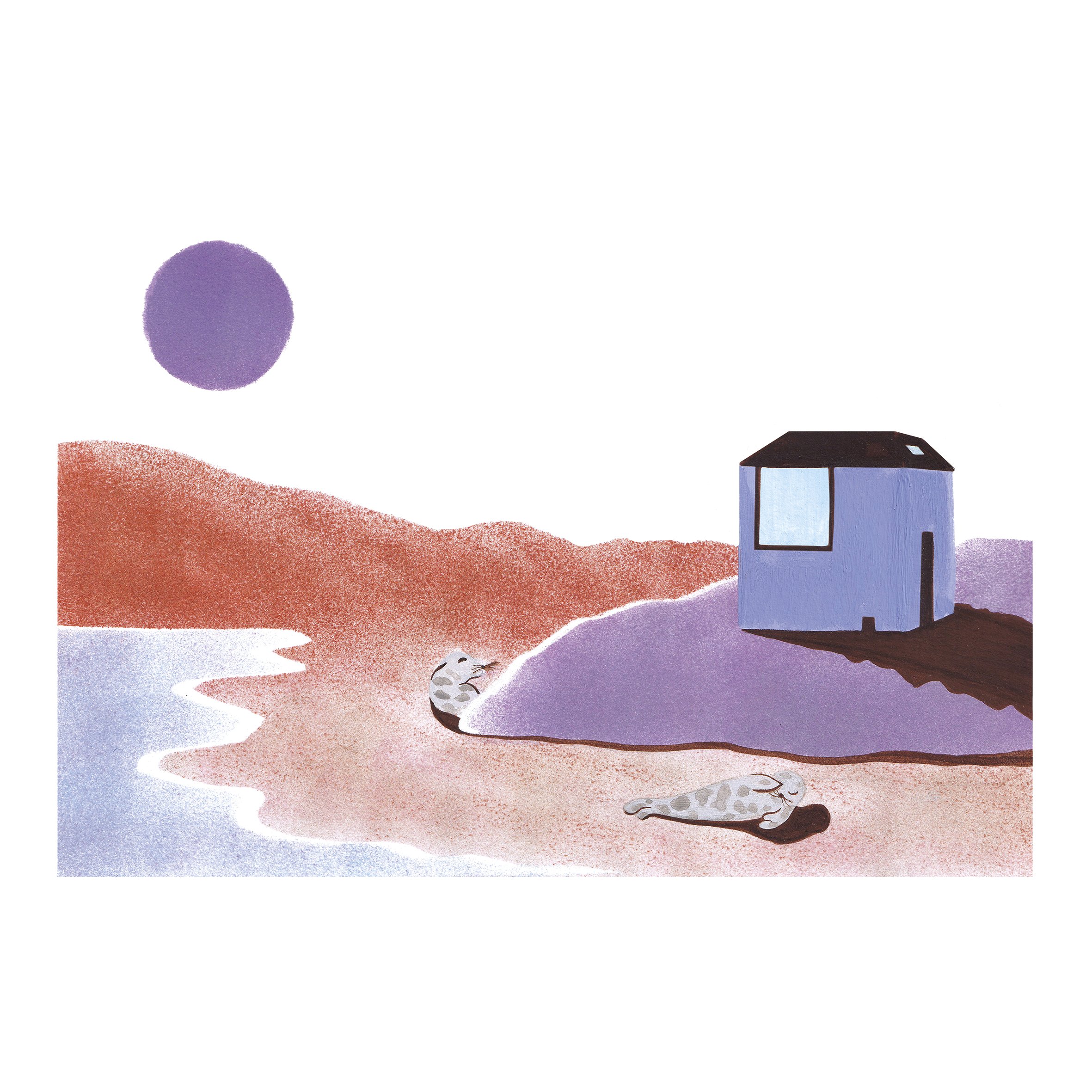 Carte postale - Les phoques (et la maison violette ou bleue)