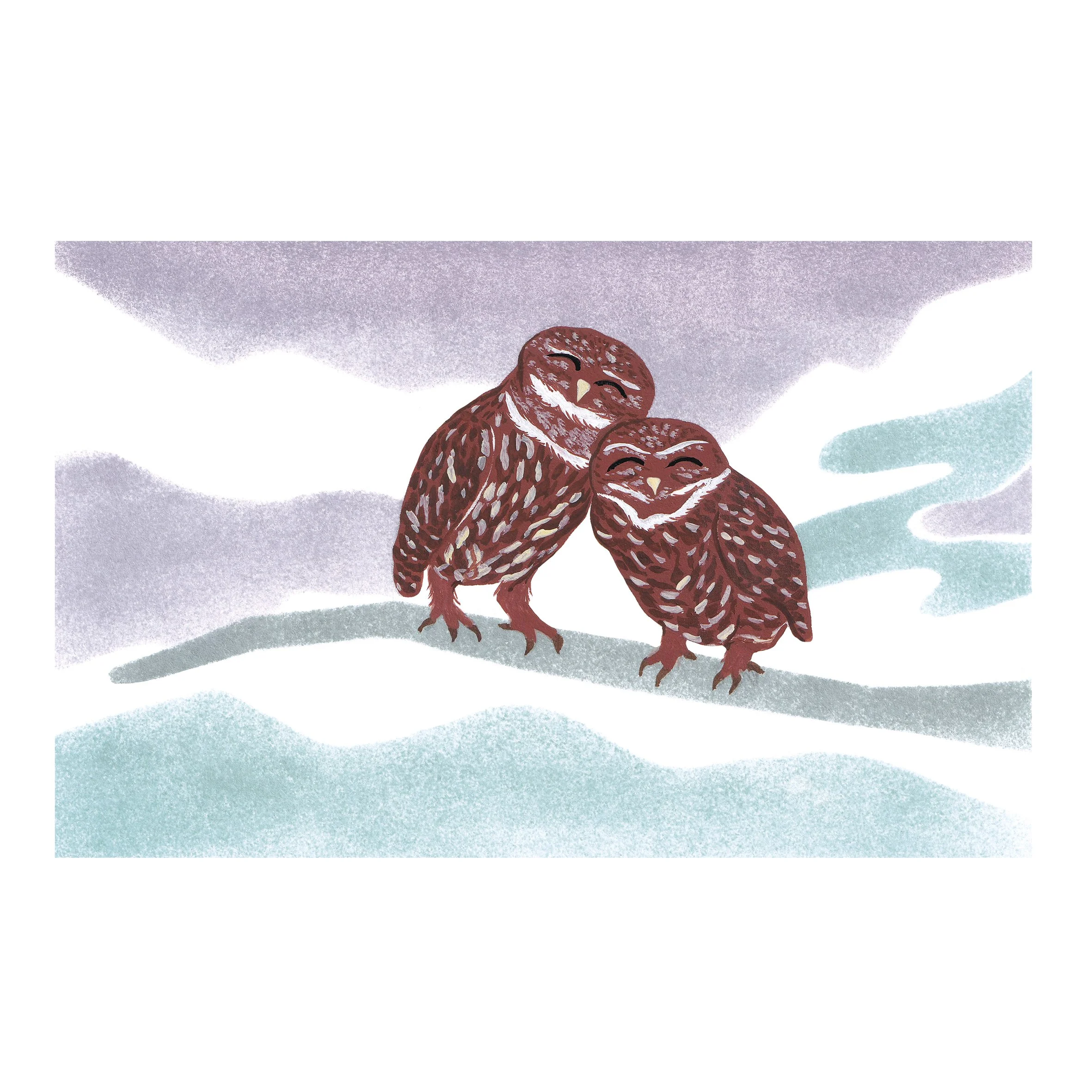 Carte postale - Les chevêches