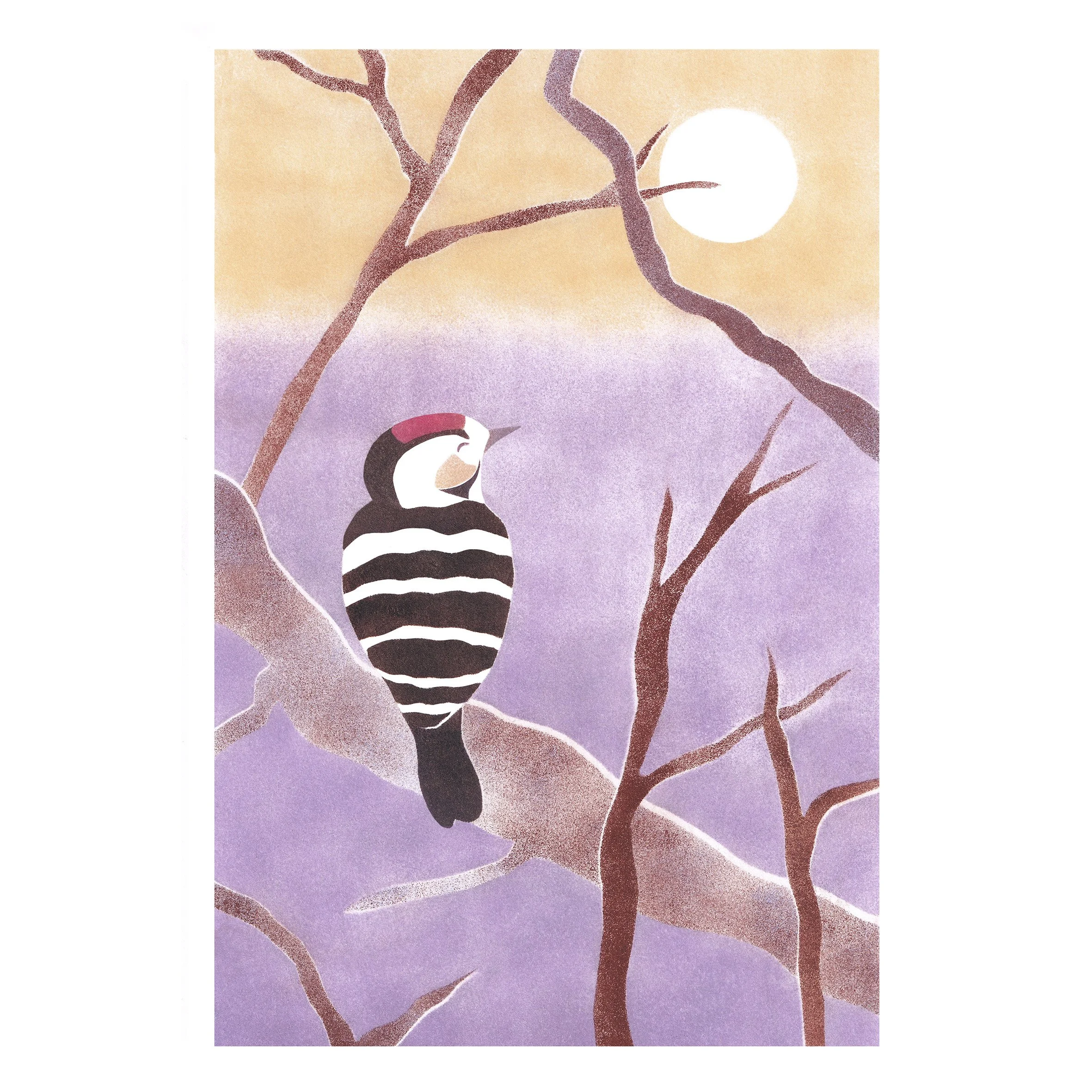 Le pic (épeichette) - A5