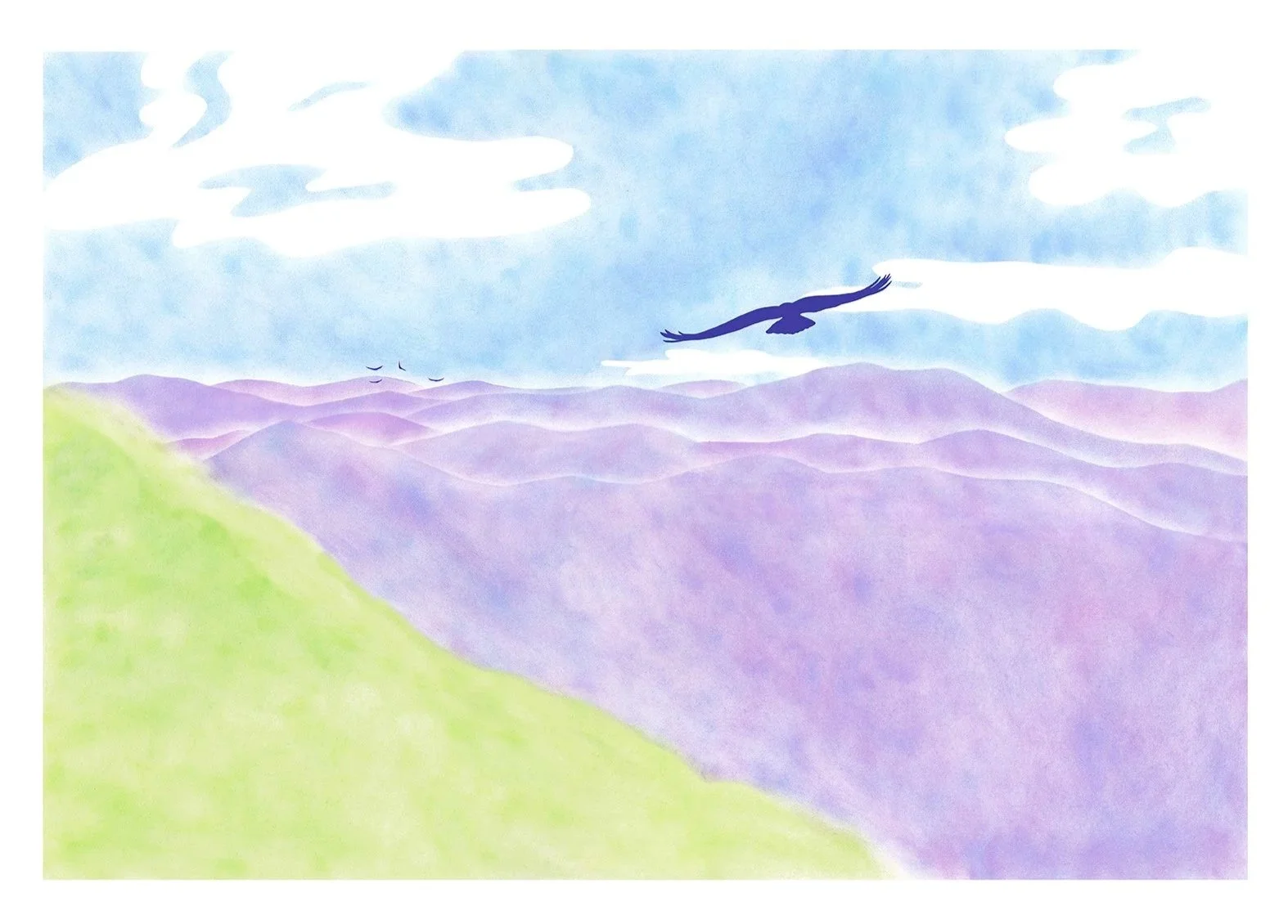Vautours, barre des Cévennes, A2