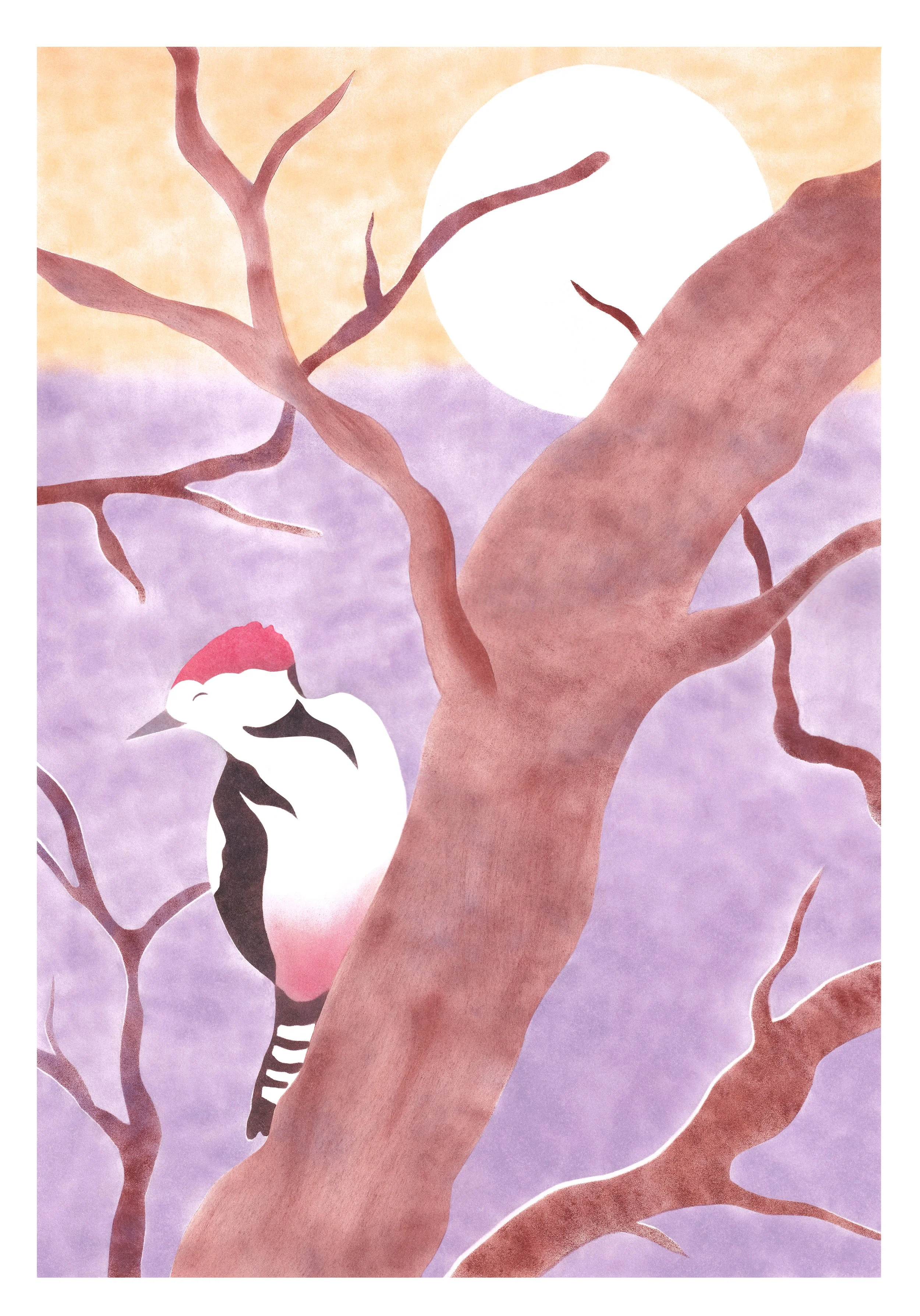 Les Oiseaux du Père Lachaise