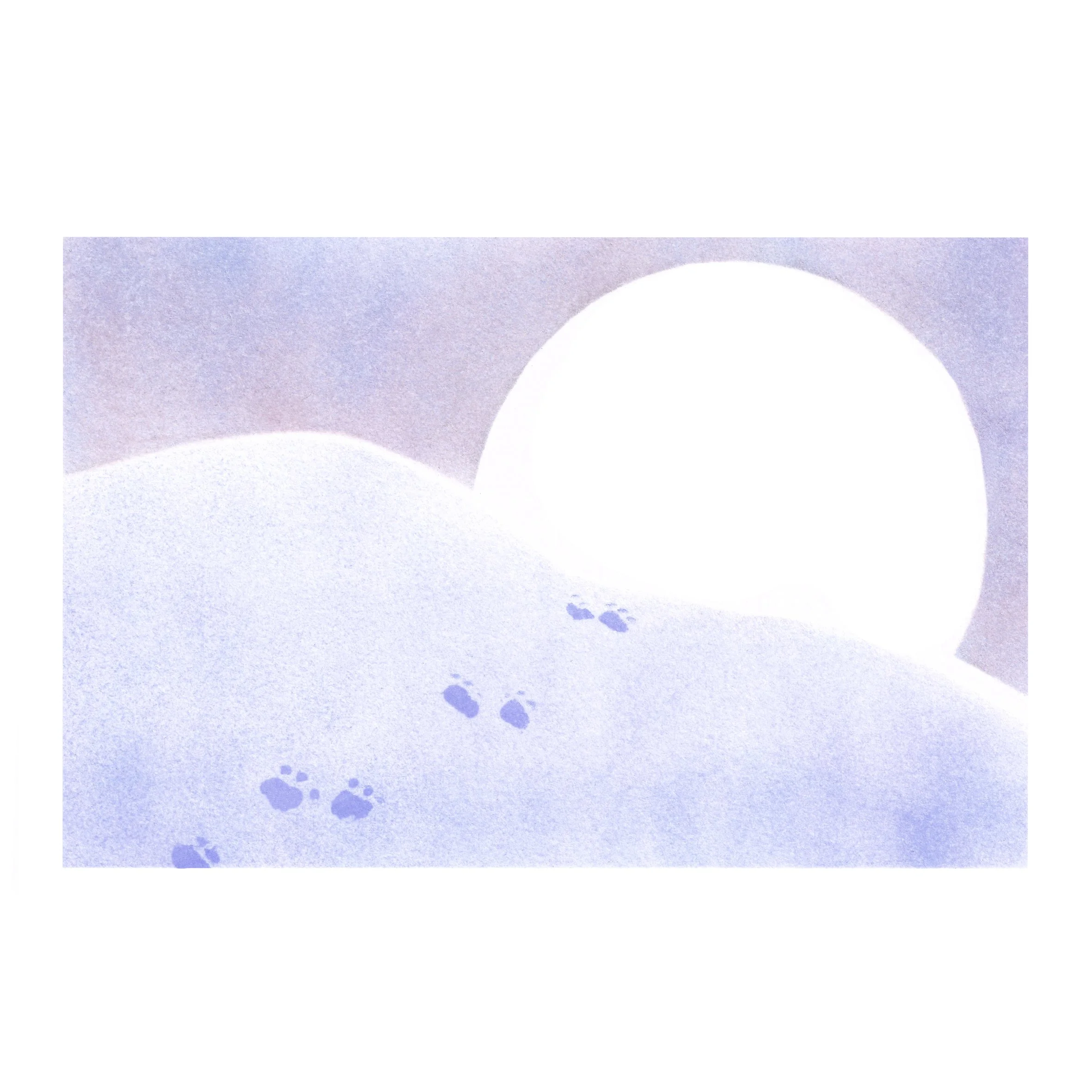 traces pattes cp.jpg