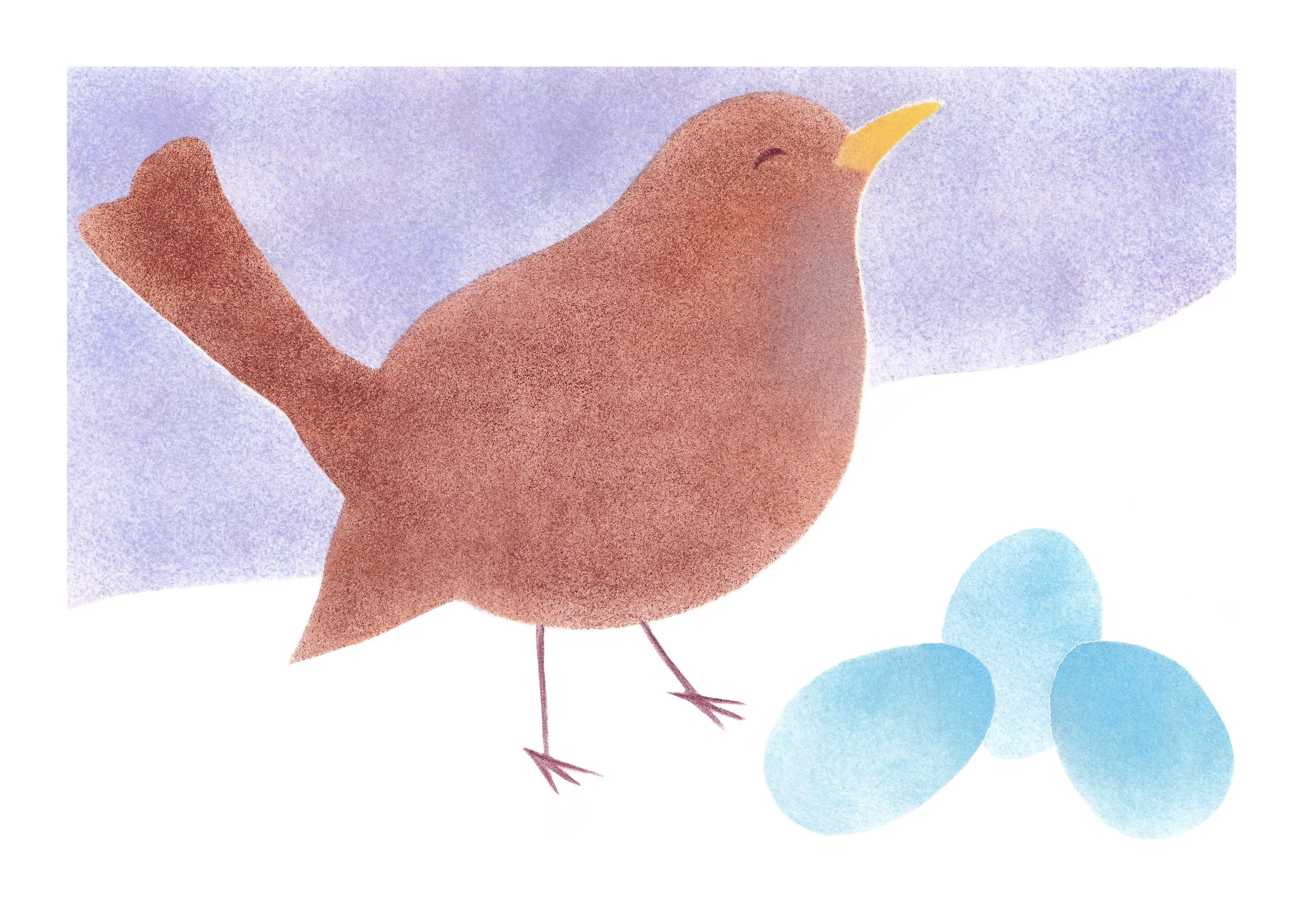 La merlette (aux oeufs bleus) - A5