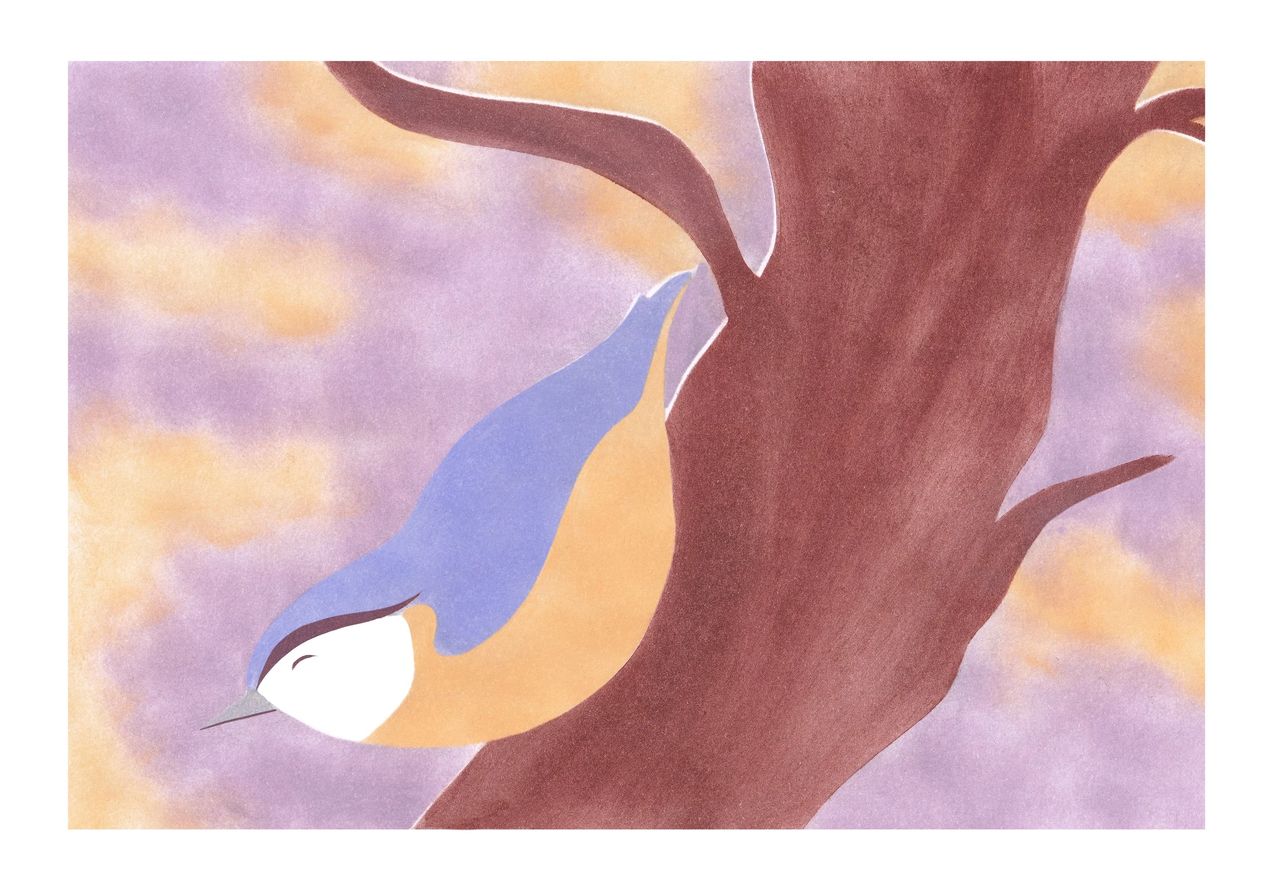 La sittelle (torchepot) - A5