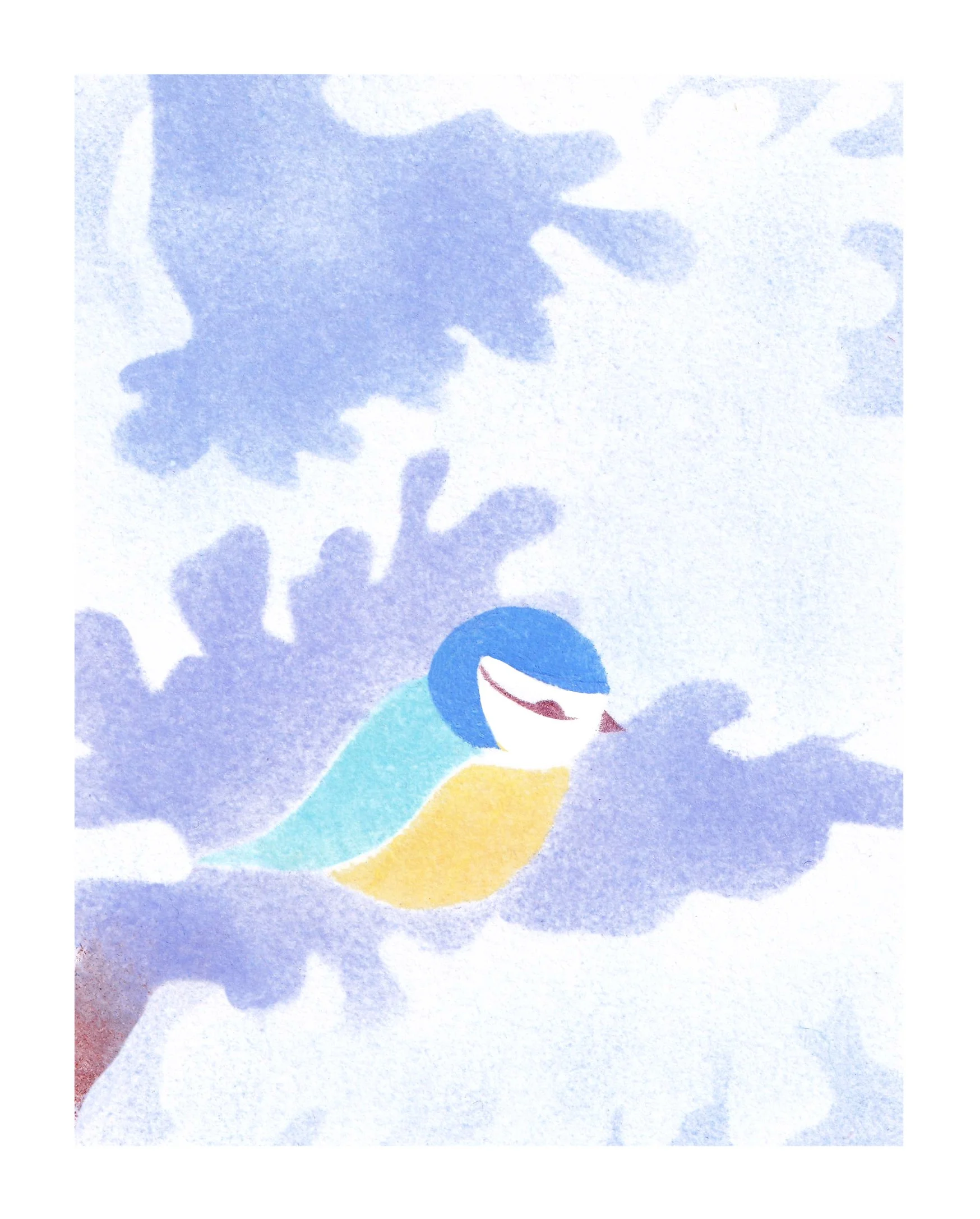 Mini mésange (bleue)- RVB.jpg