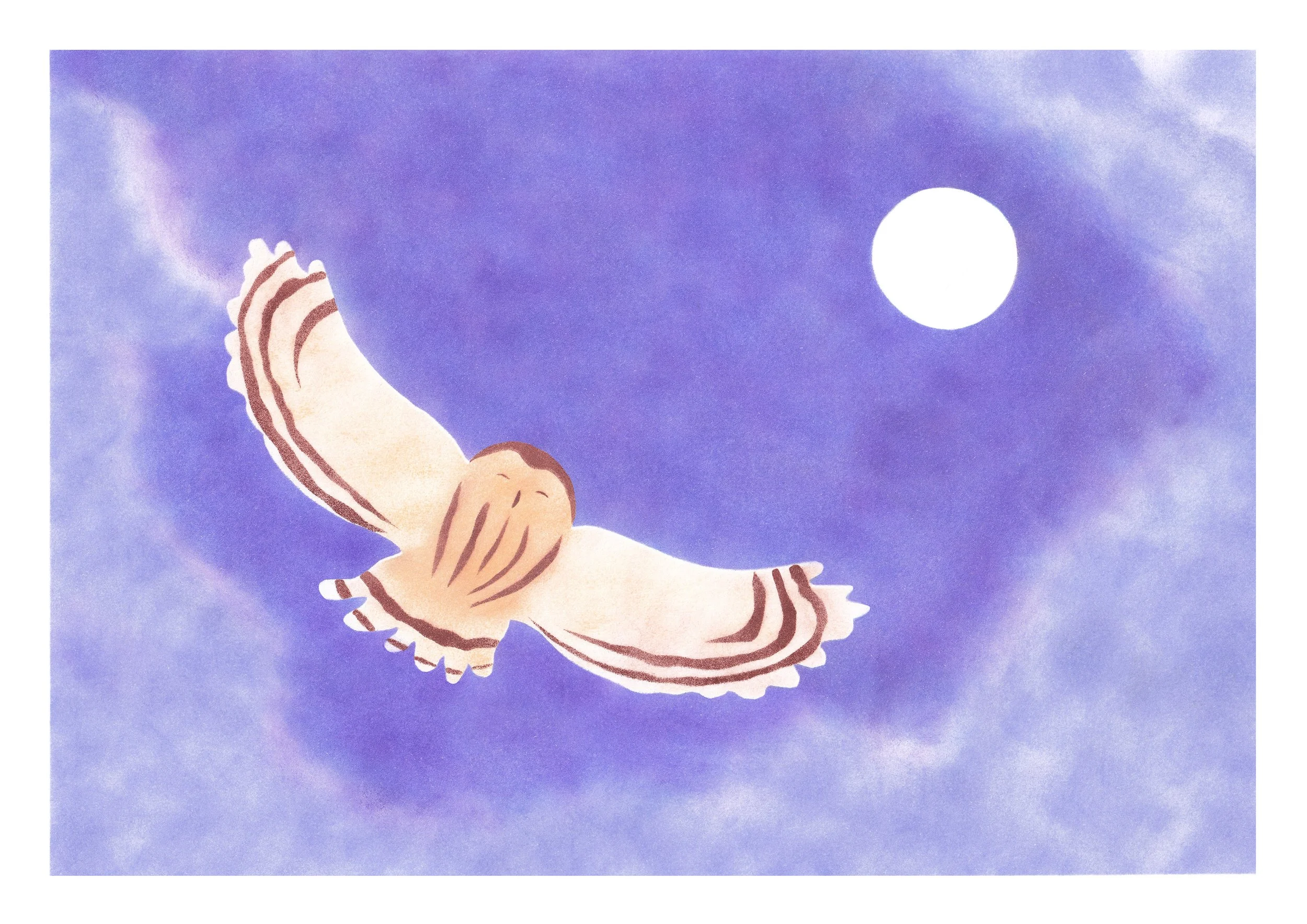 La chouette (hulotte) - A4