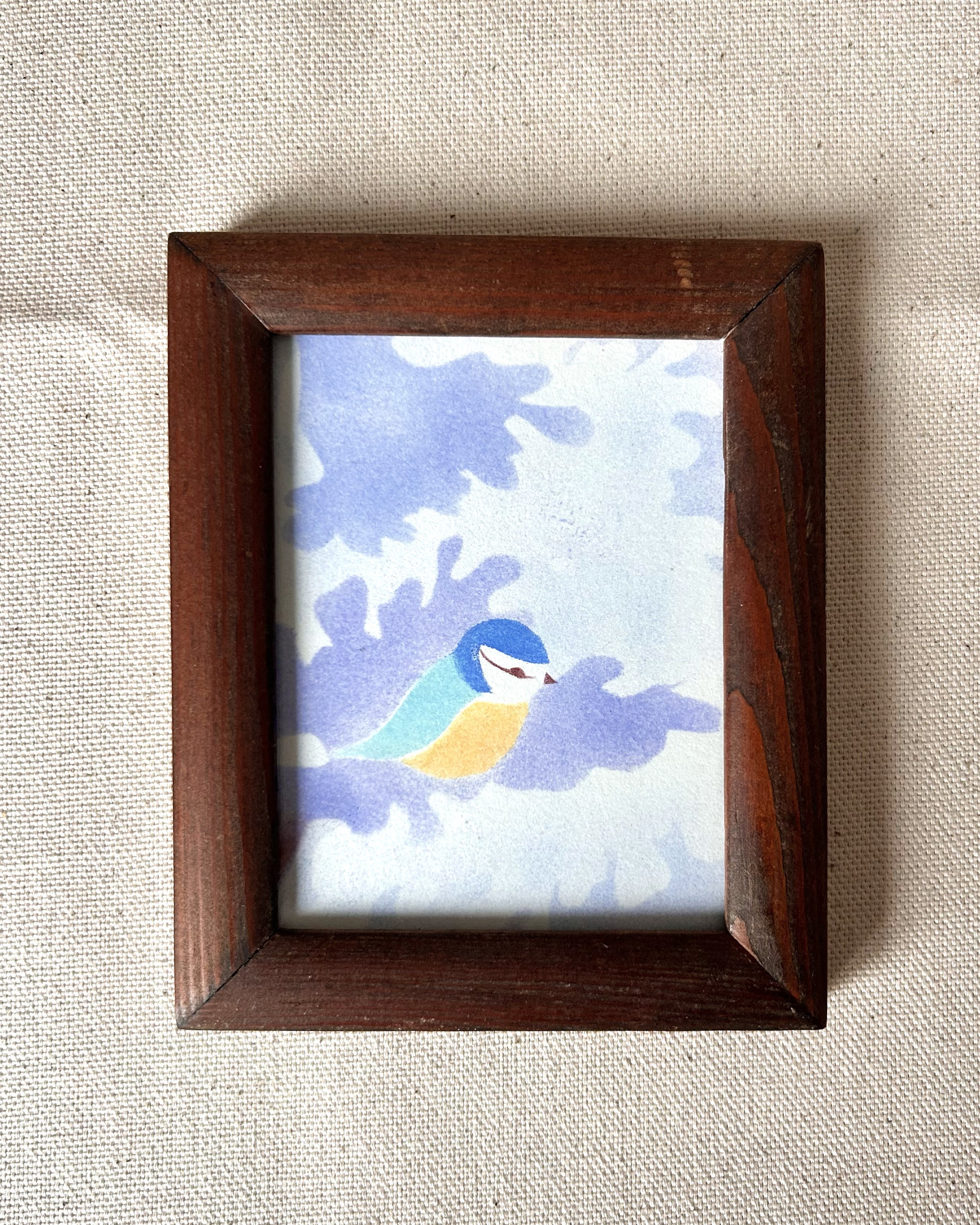 Mésange neige 2.jpg