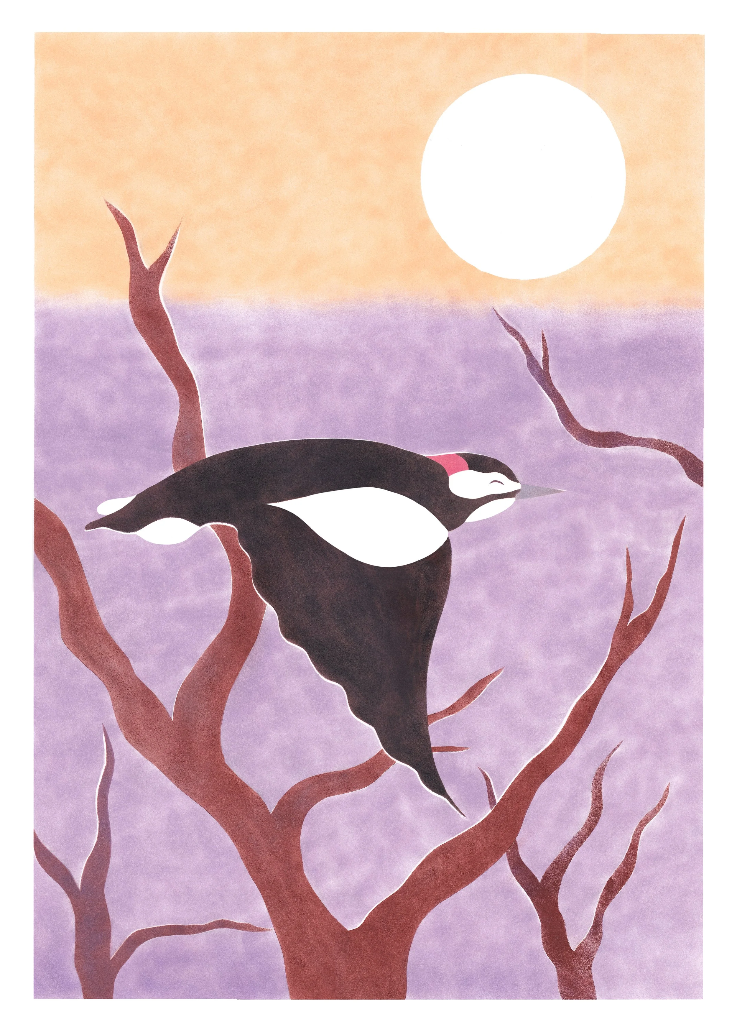 L'épeiche (pic) - 40 x 60 cm