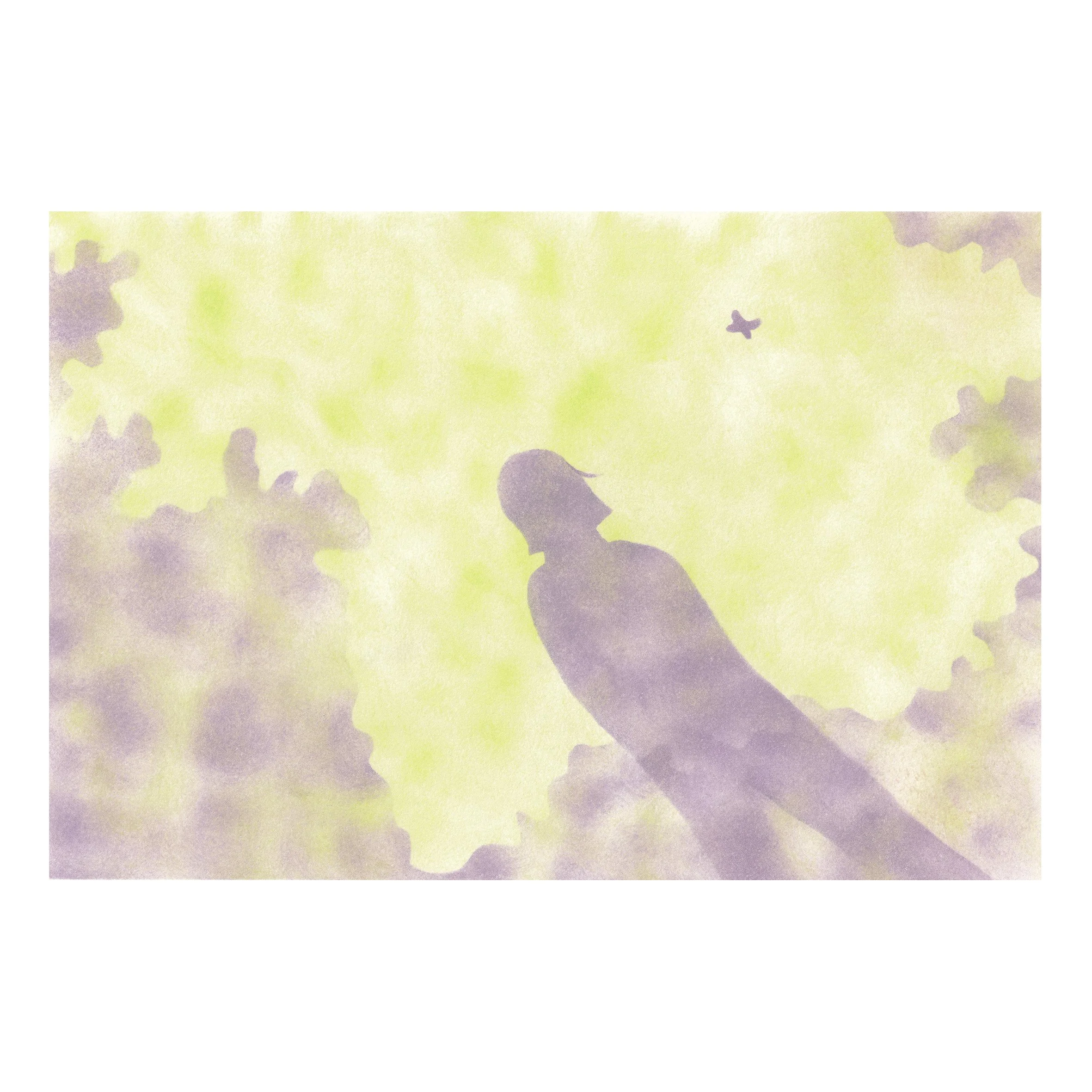 Ombre au papillon - A5