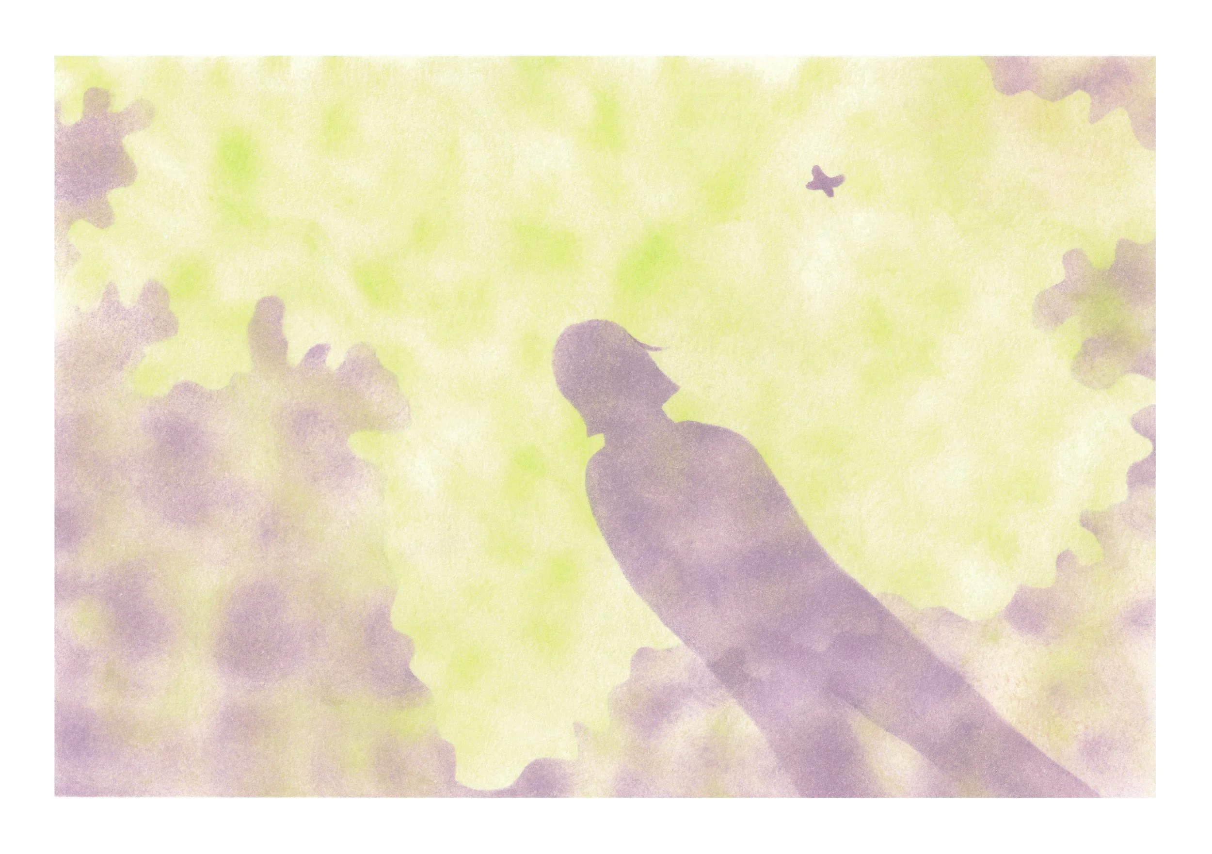 Ombre au papillon - A5