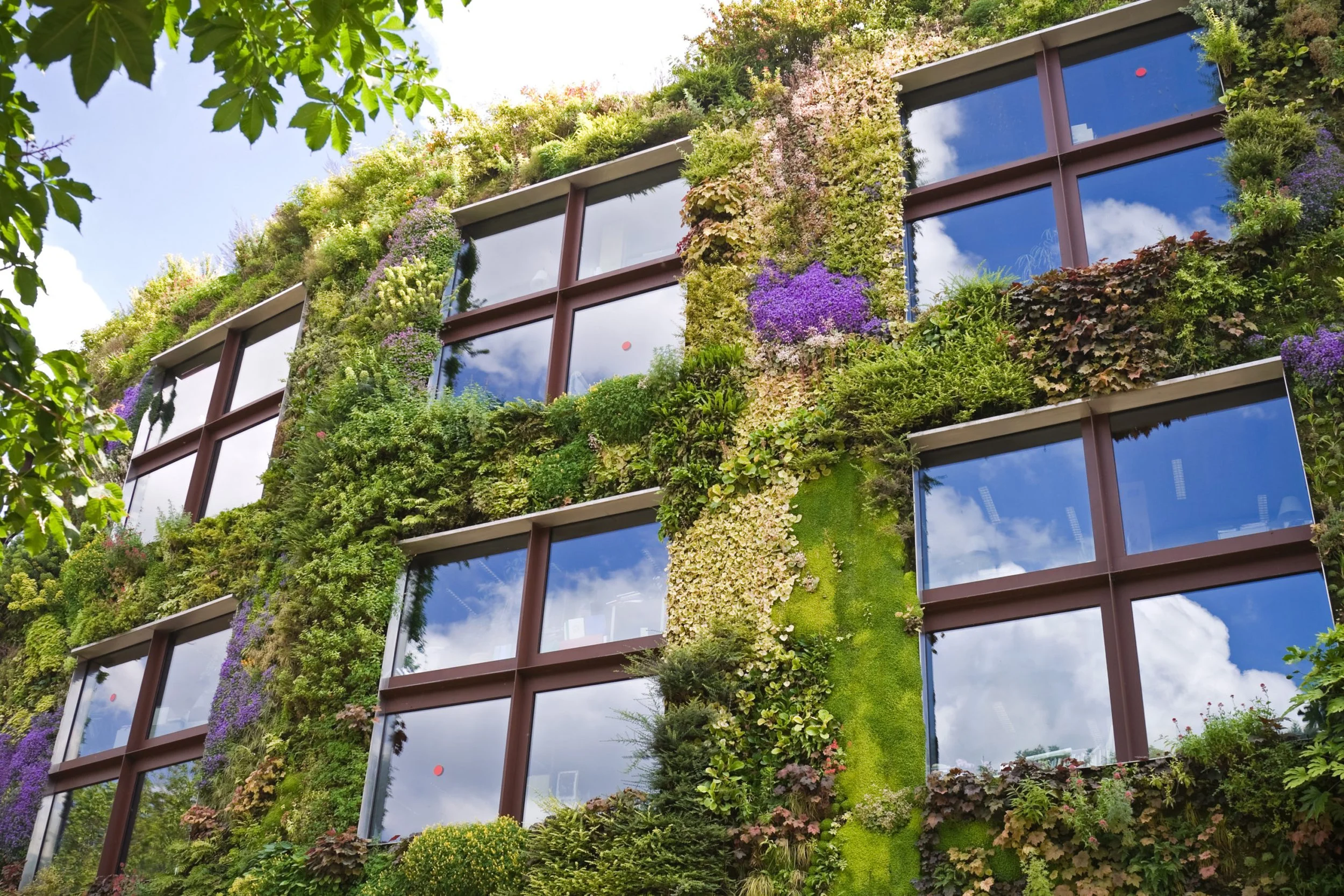 Green Buildings Save Energy and Costs