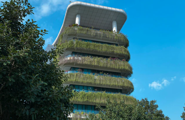 Green Building Costs and Trends