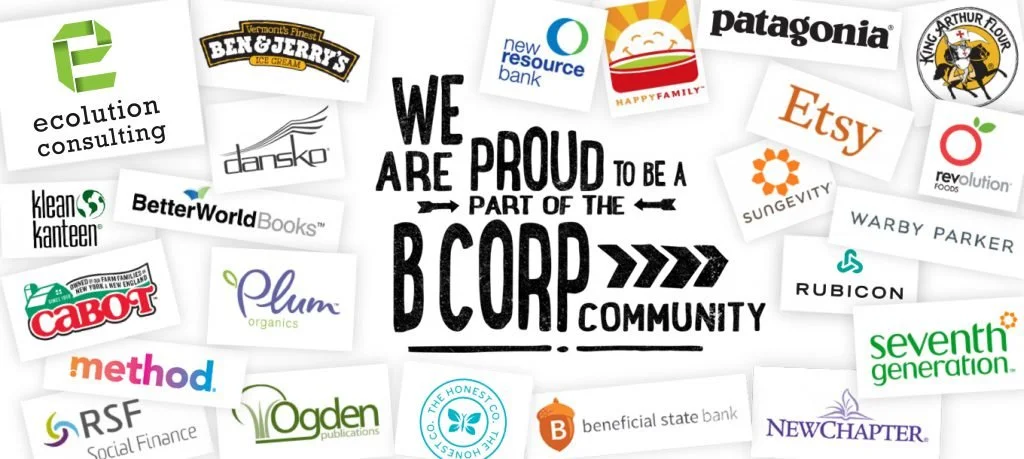 Ecolution pioneering B Corp in South Africa