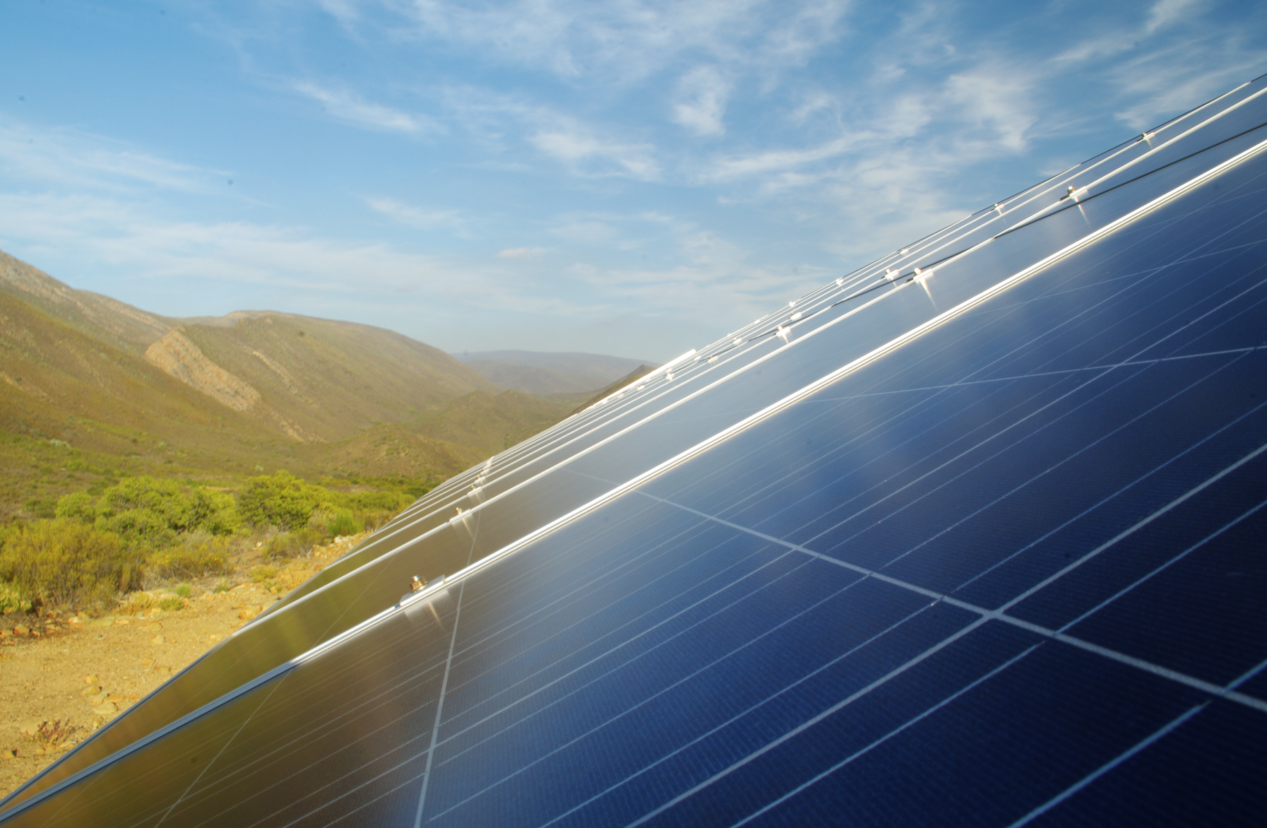 Ecolution Consulting’s Top Five Green Building Projects