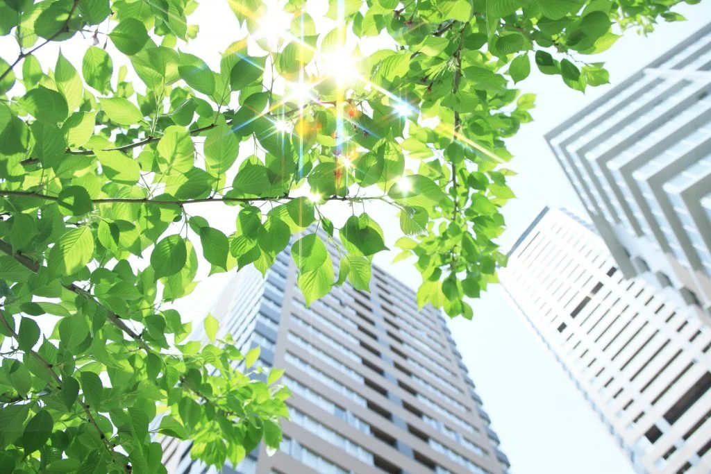 Green Building: Benefits and Barriers