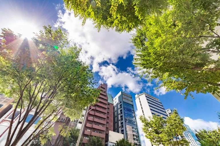 Green Building Trends in 2019