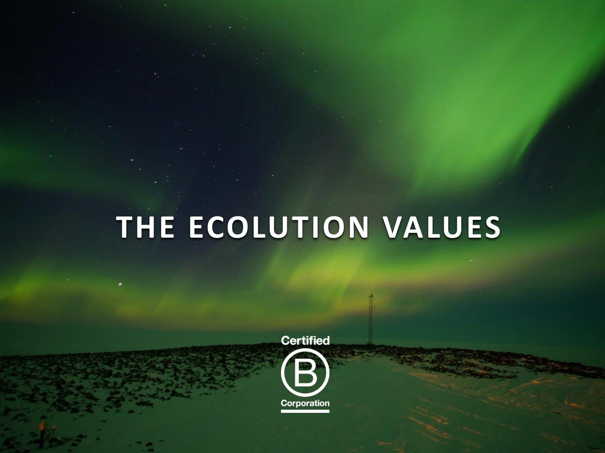 The Ecolution Consulting Values