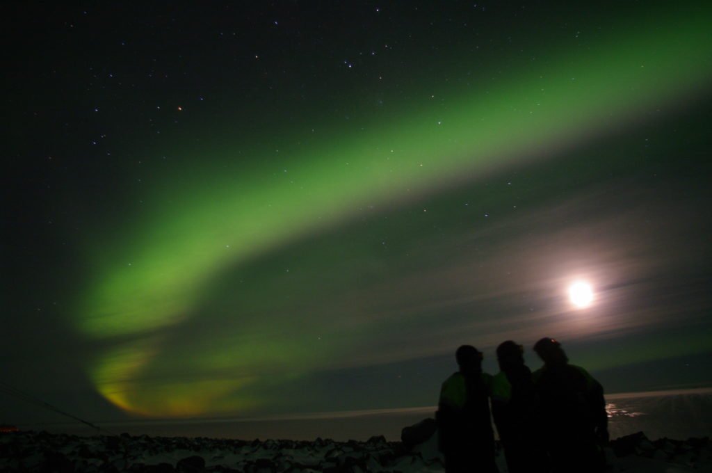 Silhouettes of three people standing on the rocky shore at night, watching the northern lights with the moon in the sky.