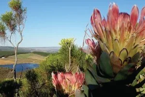 NCC Environmental Services