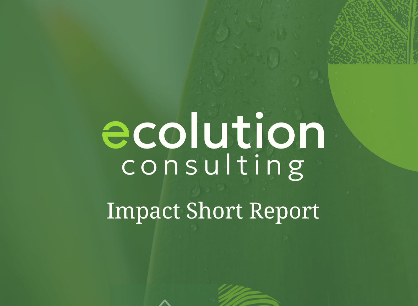 Ecolution Consulting Impact Report