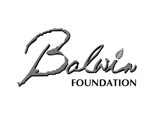 The logo of the Balaji Foundation with stylized text and a leaf icon.