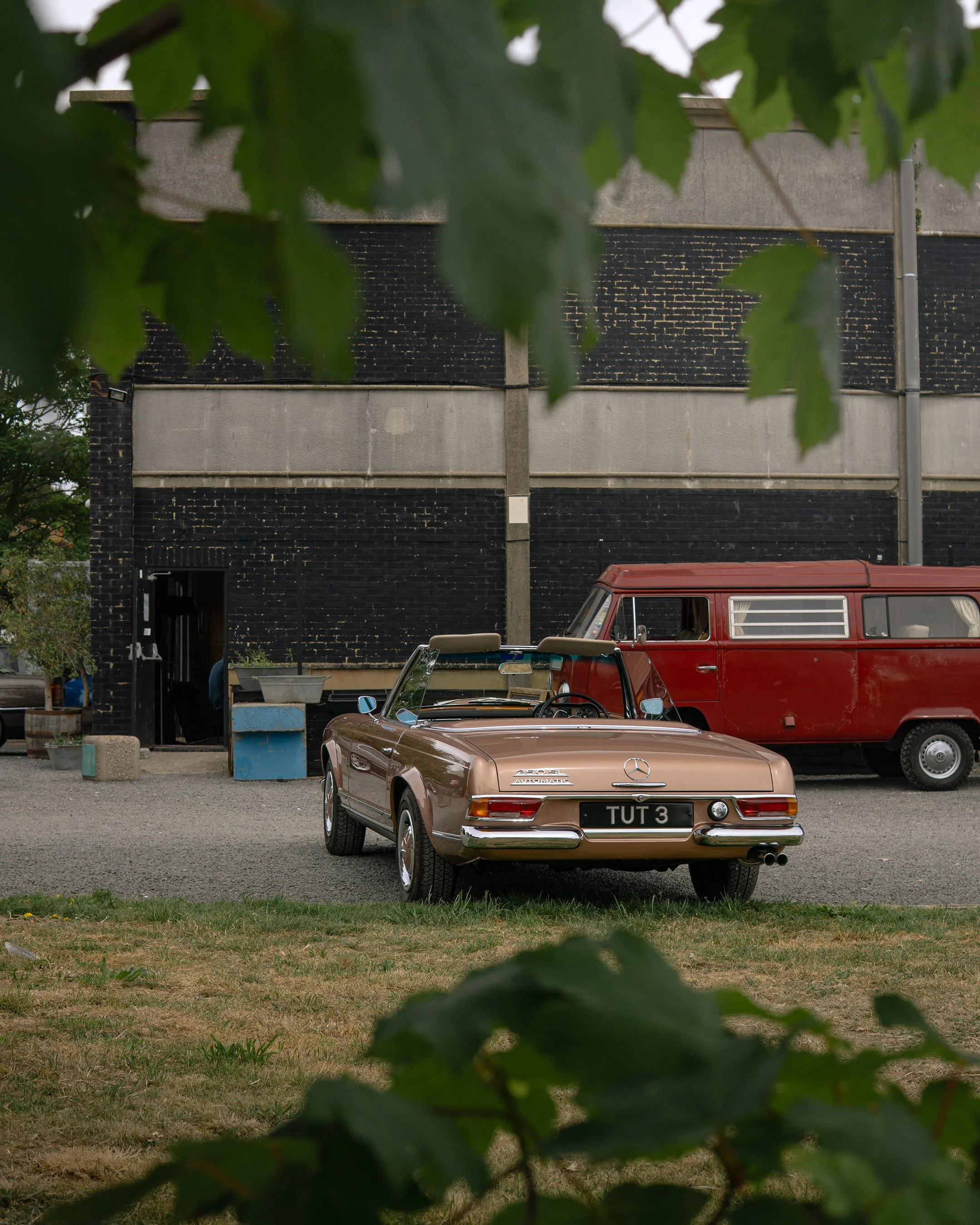 Two vintage cars parked in front of a brick building partially obscured by tree leaves in the foreground.