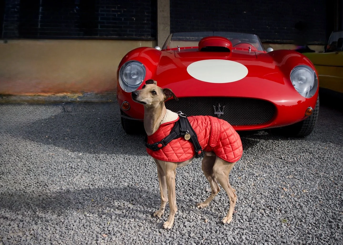 We love these photos taken by Jeff Grice at Sunday&rsquo;s Rye Classics event.

Thank you to all those who drove, rode, and walked to the Halls to join us!

#aubreyhalls
