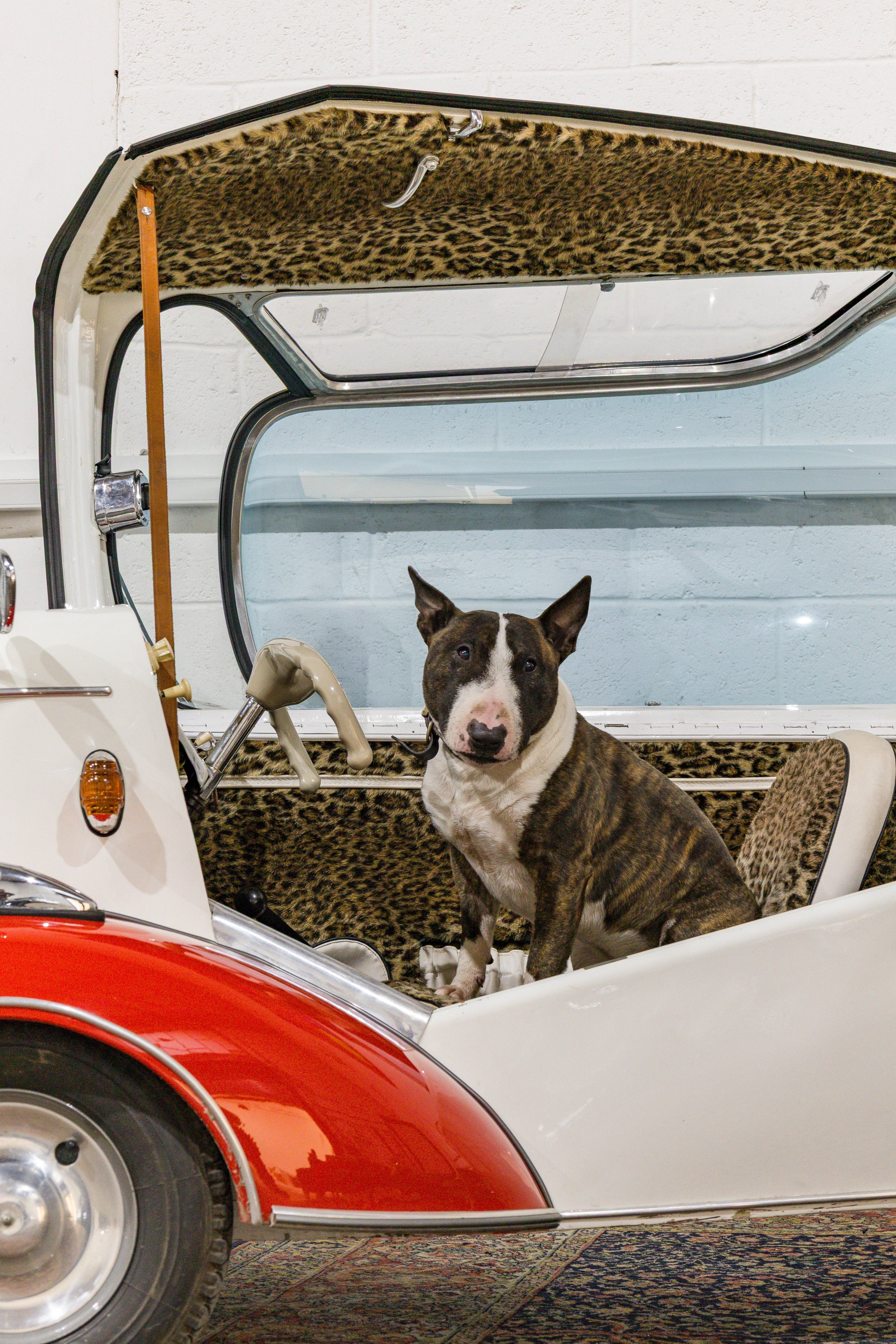 Aubrey Hounds Club x Cafe Elise